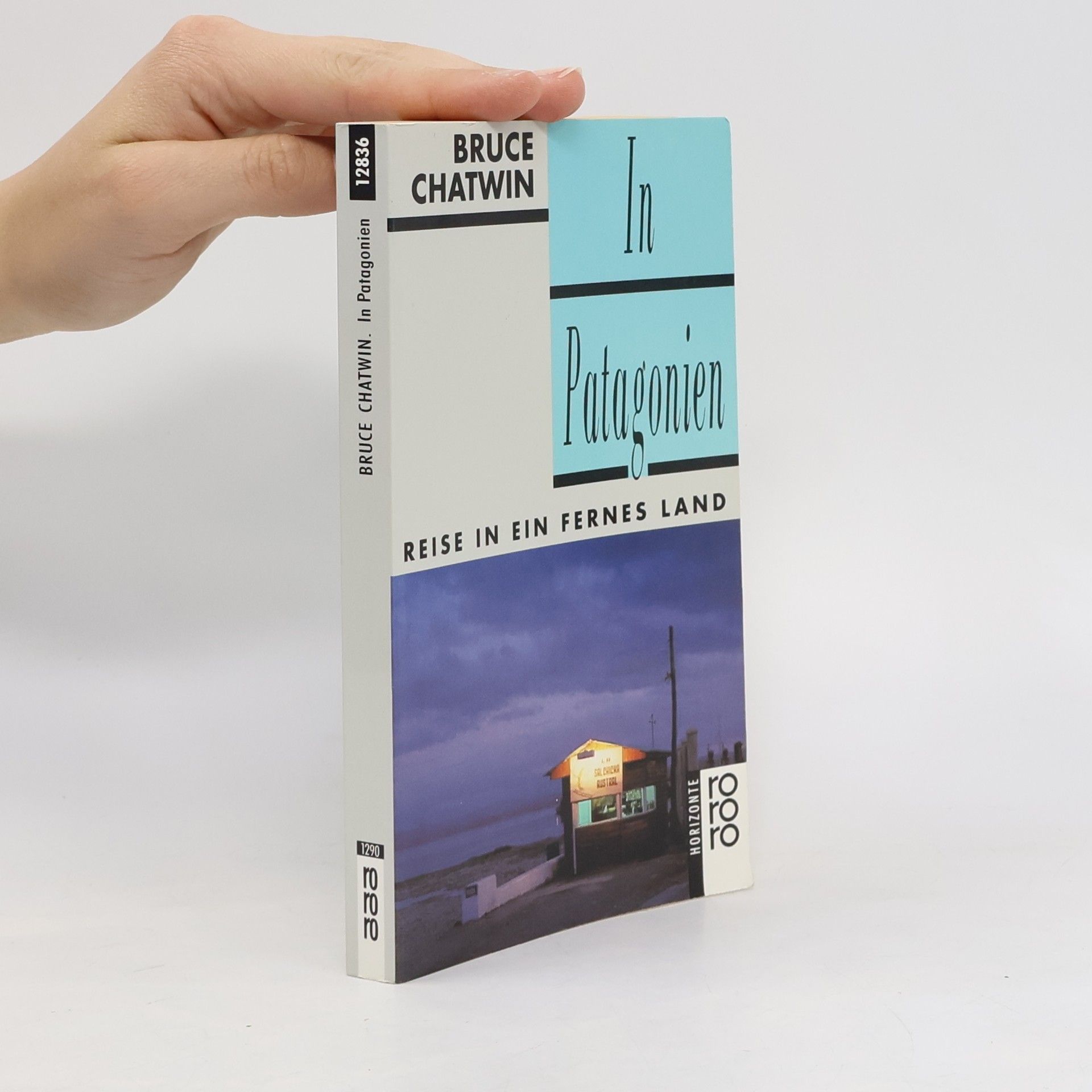 Bruce Chatwin In Patagonien