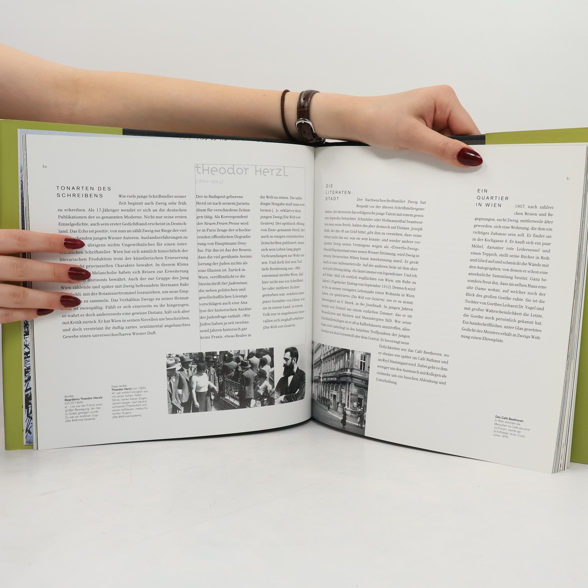 Catherine Sauvat Stefan Zweig und Wien