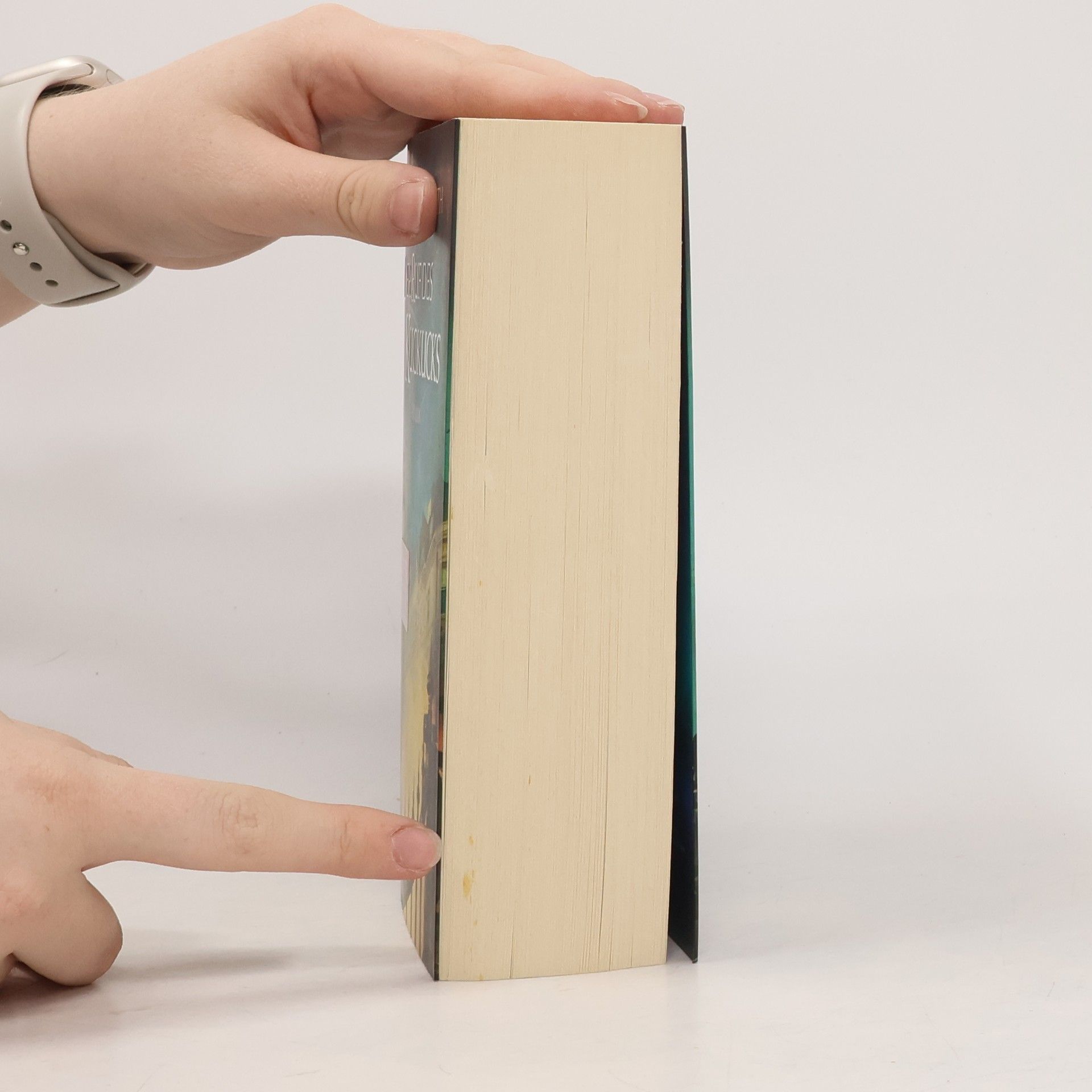 J. K. Rowling Der Ruf des Kuckucks