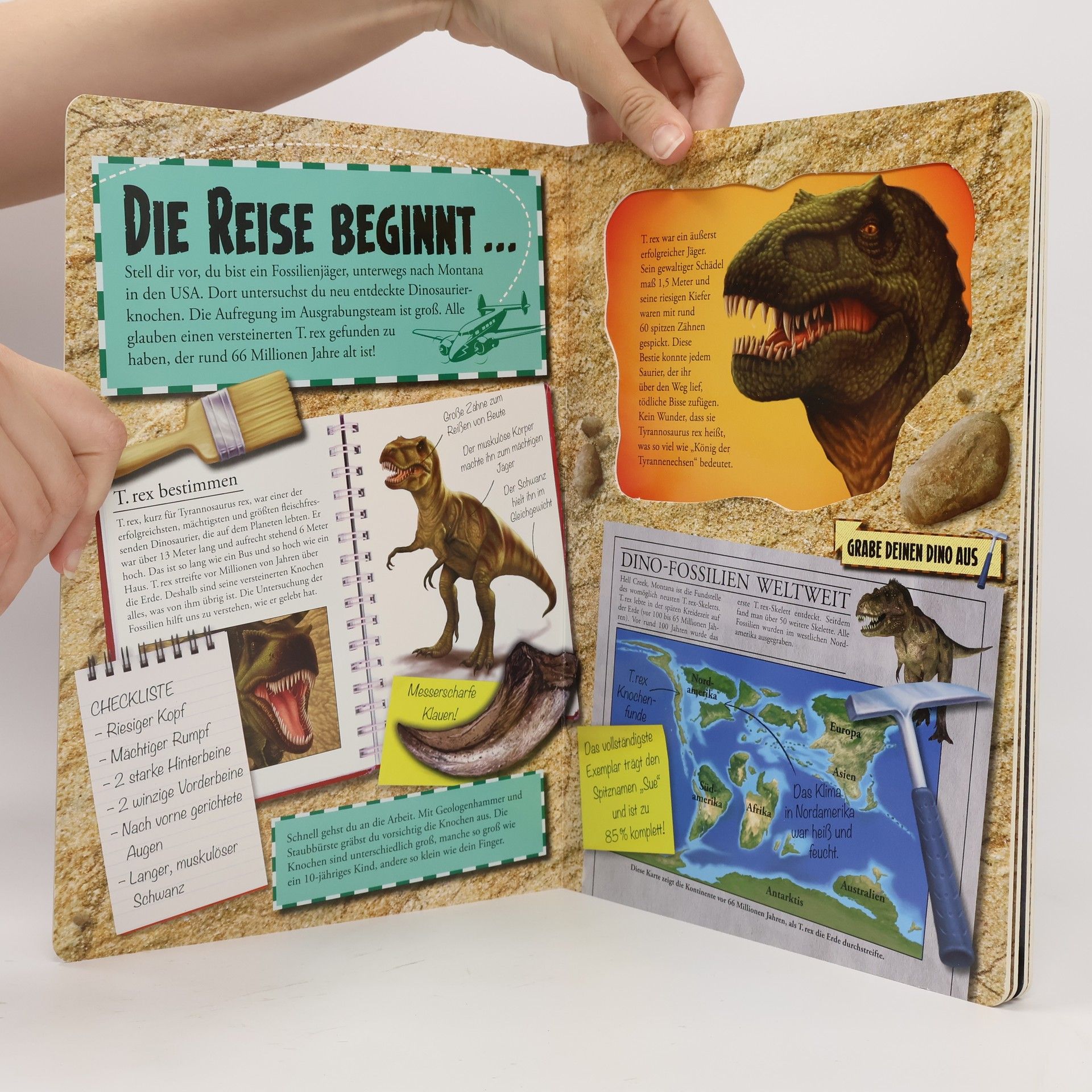 Claire Bampton Dinosaurier Skelett-Modell. T.Rex