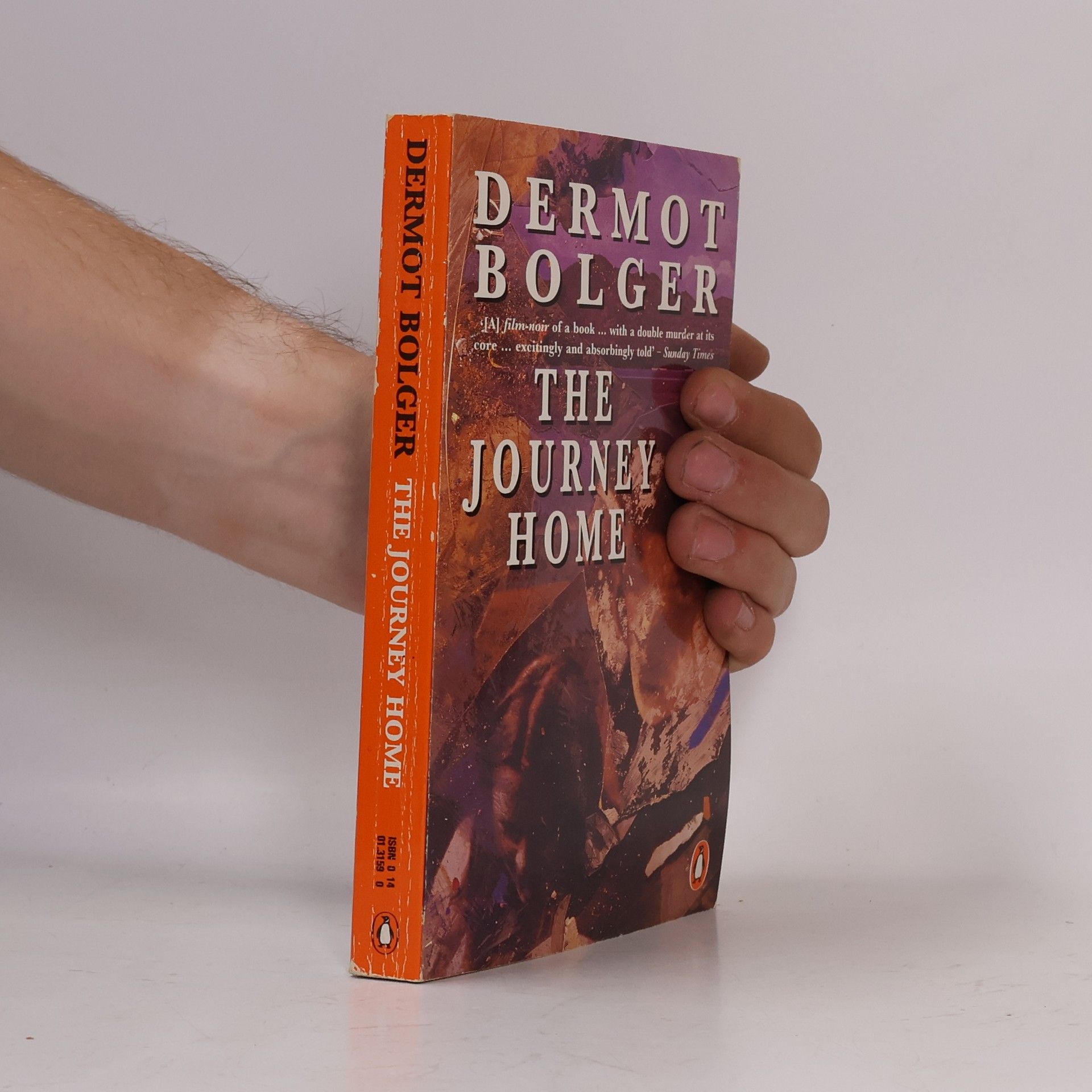 Dermot Bolger The Journey Home