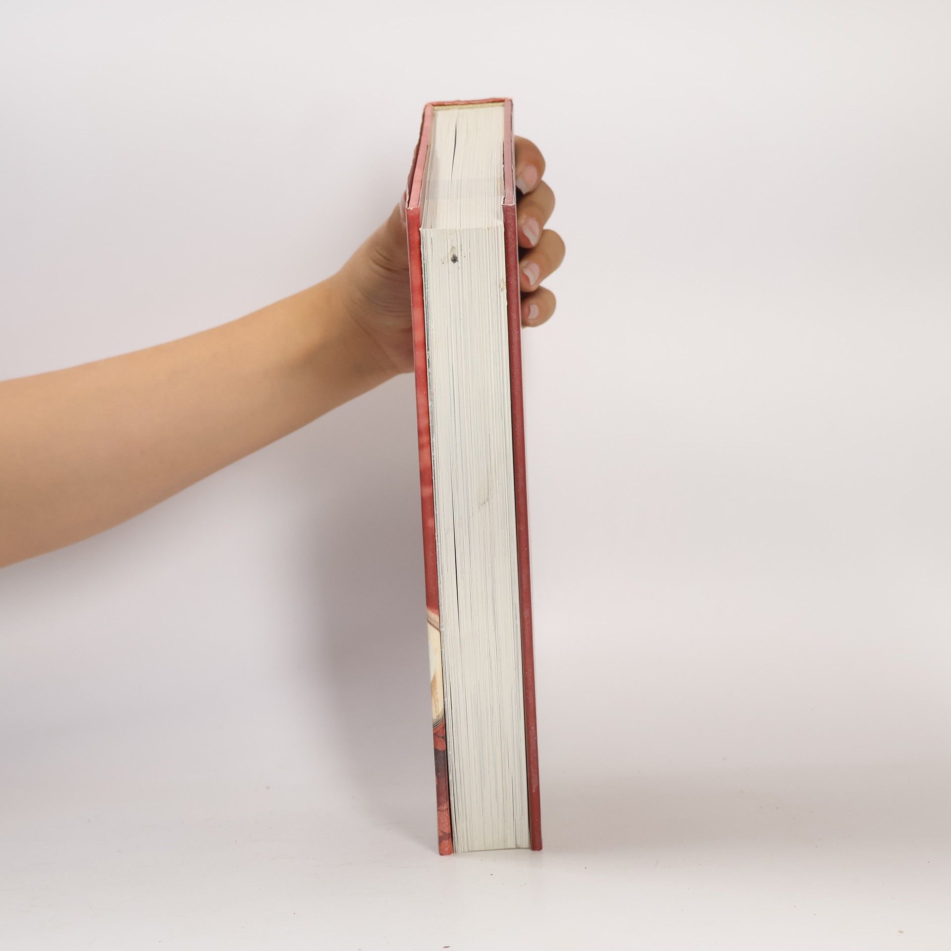 Alexandra Gürtler Das neue Sacher-Kochbuch