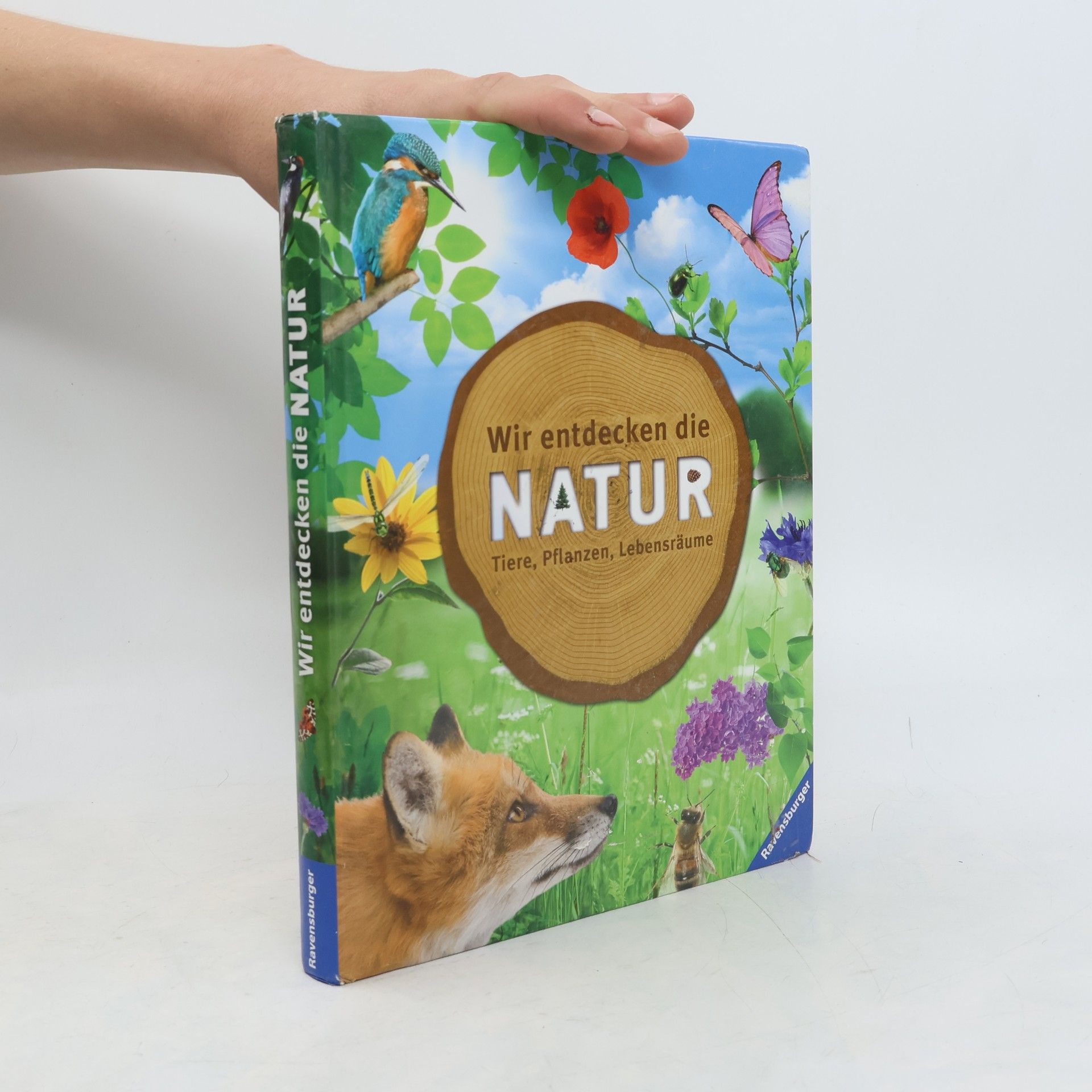 Bärbel Oftring Wir entdecken die Natur