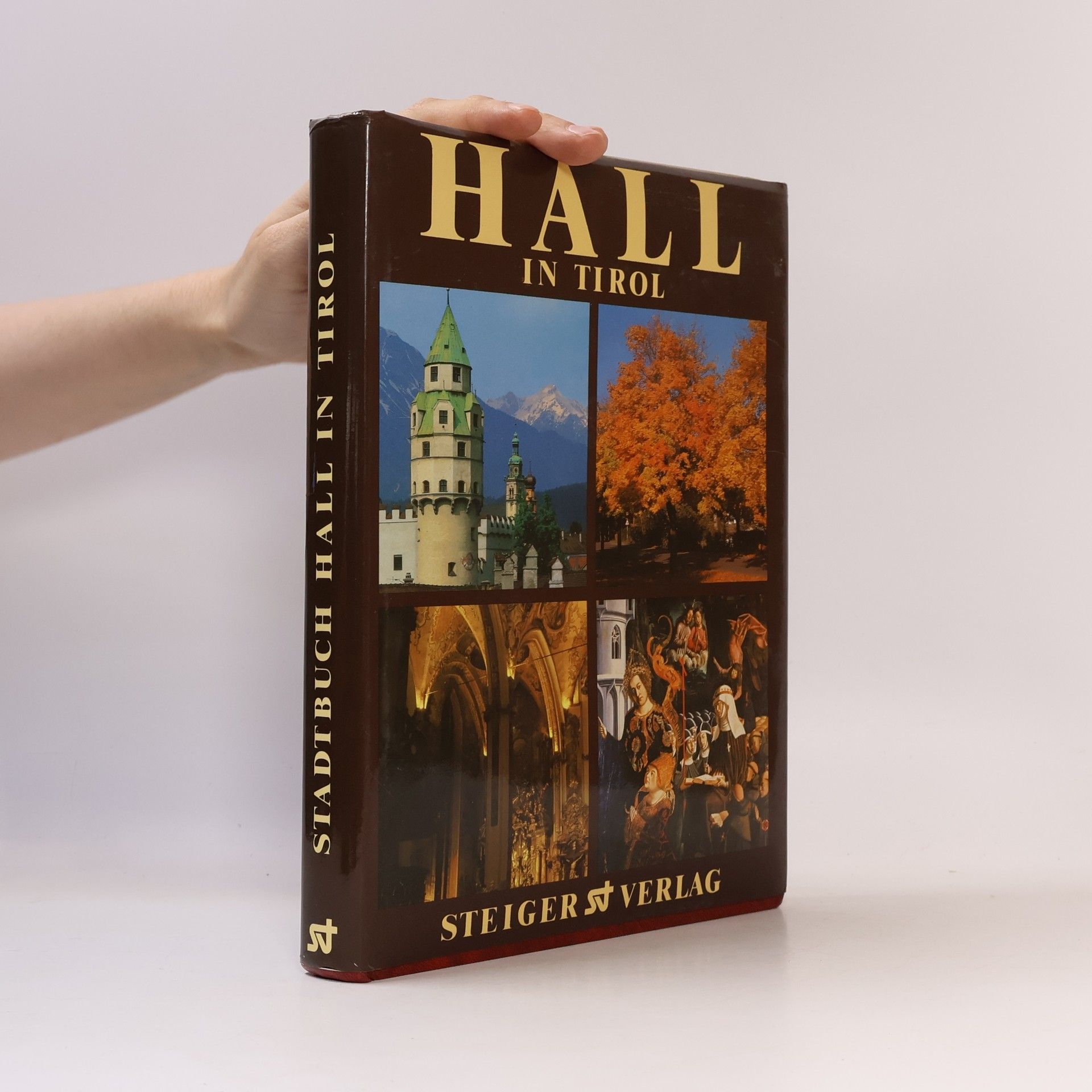 Nikolaus Grass Stadtbuch Hall in Tirol