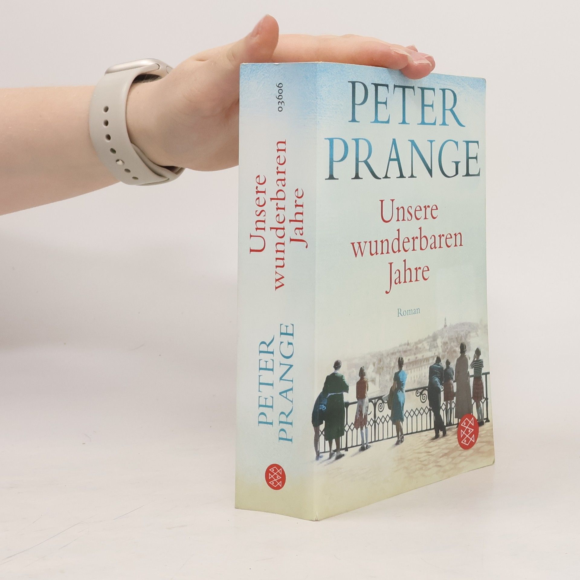 Peter Prange Unsere wunderbaren Jahre