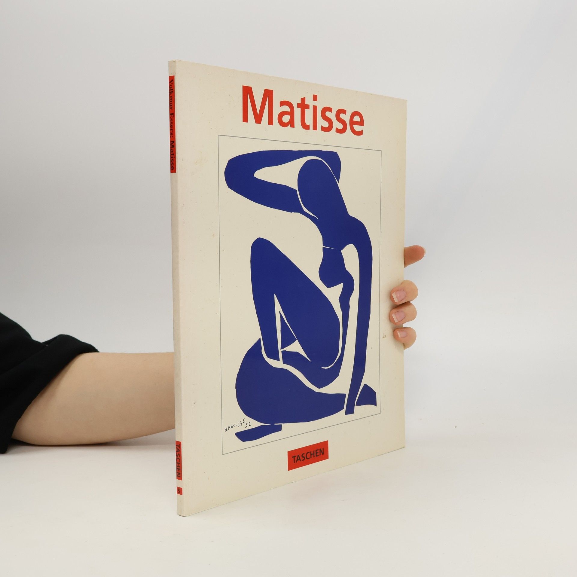 Henri Matisse Meister der Farbe
