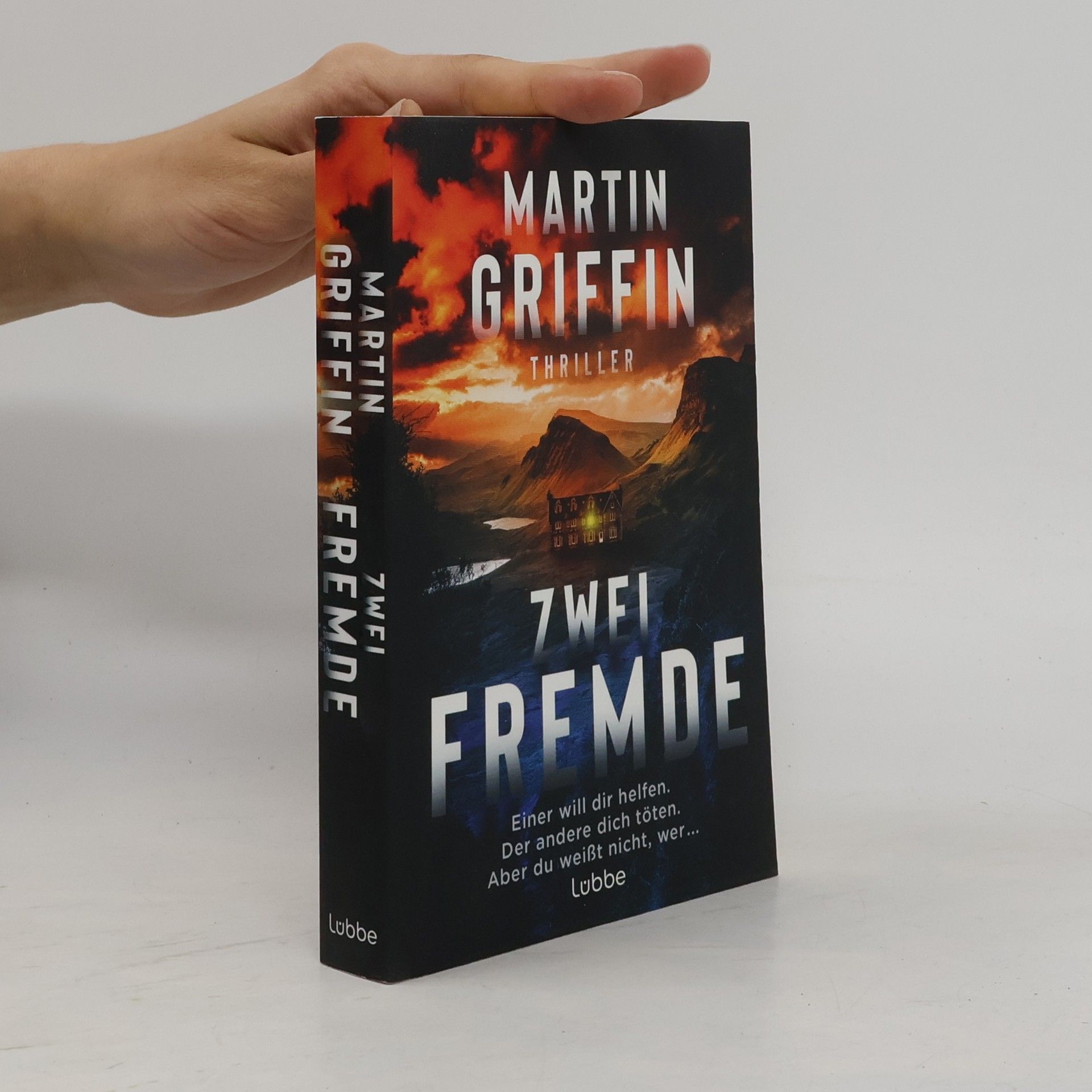 Martin Griffin Zwei Fremde