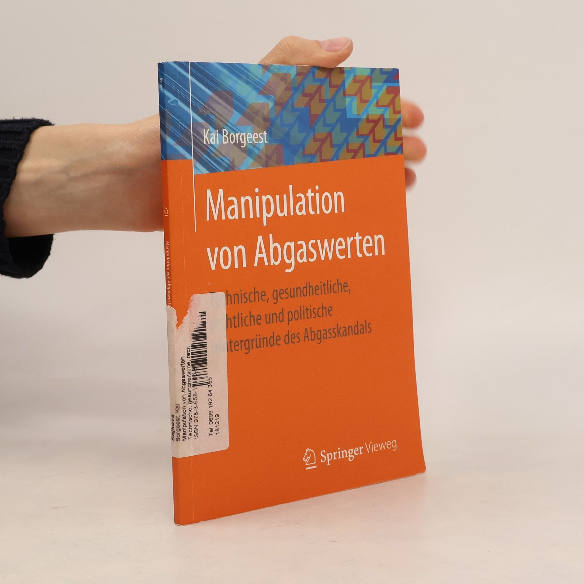 Kai Borgeest Manipulation von Abgaswerten