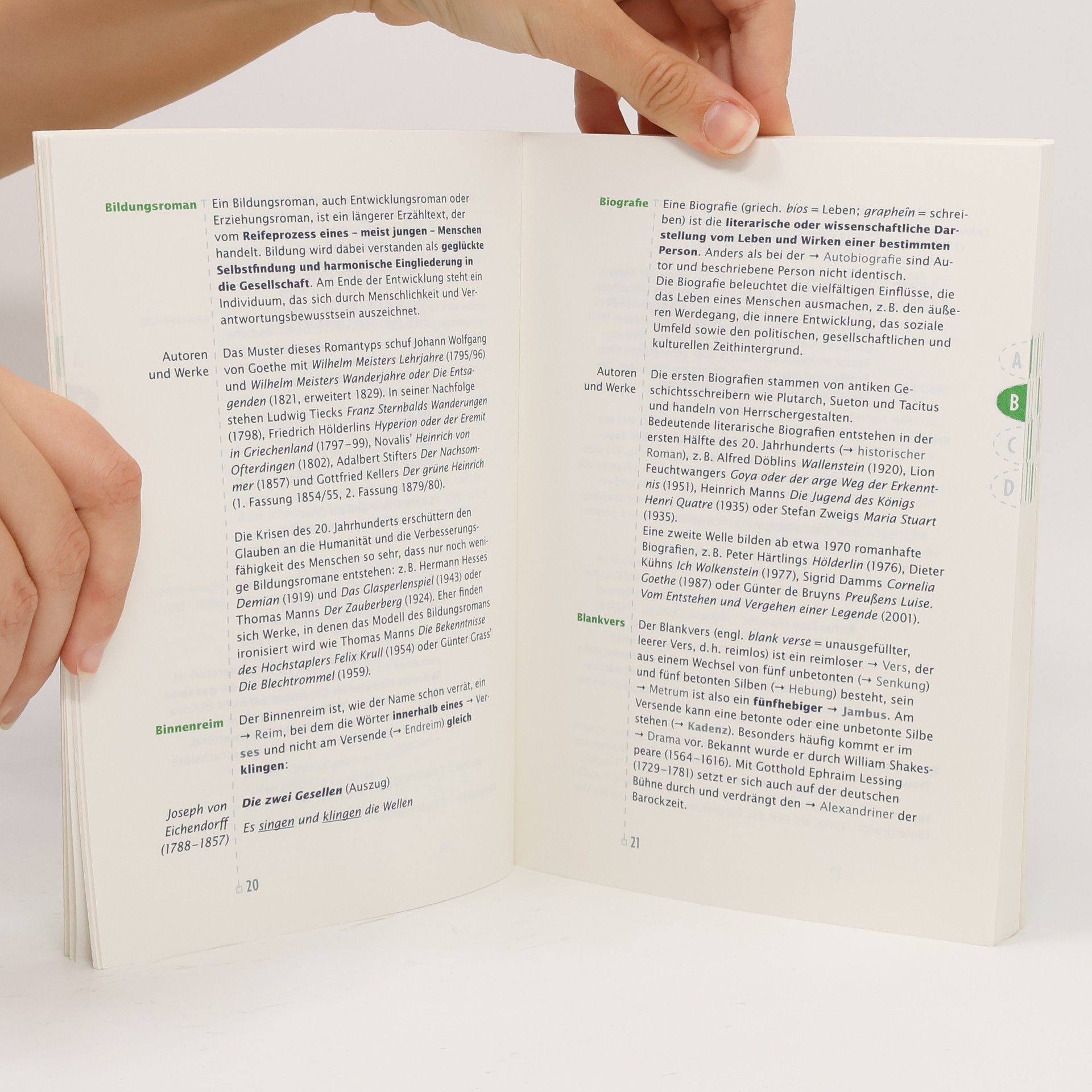Oldenbourg Deutsch: Das kleine Literaturlexikon