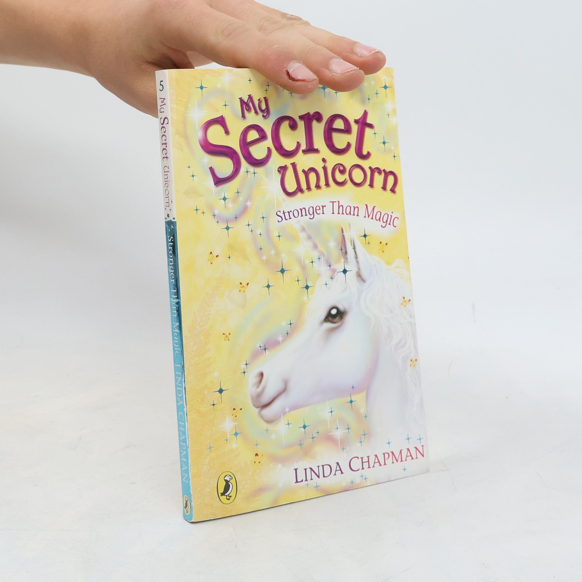 Linda Chapman My Secret Unicorn