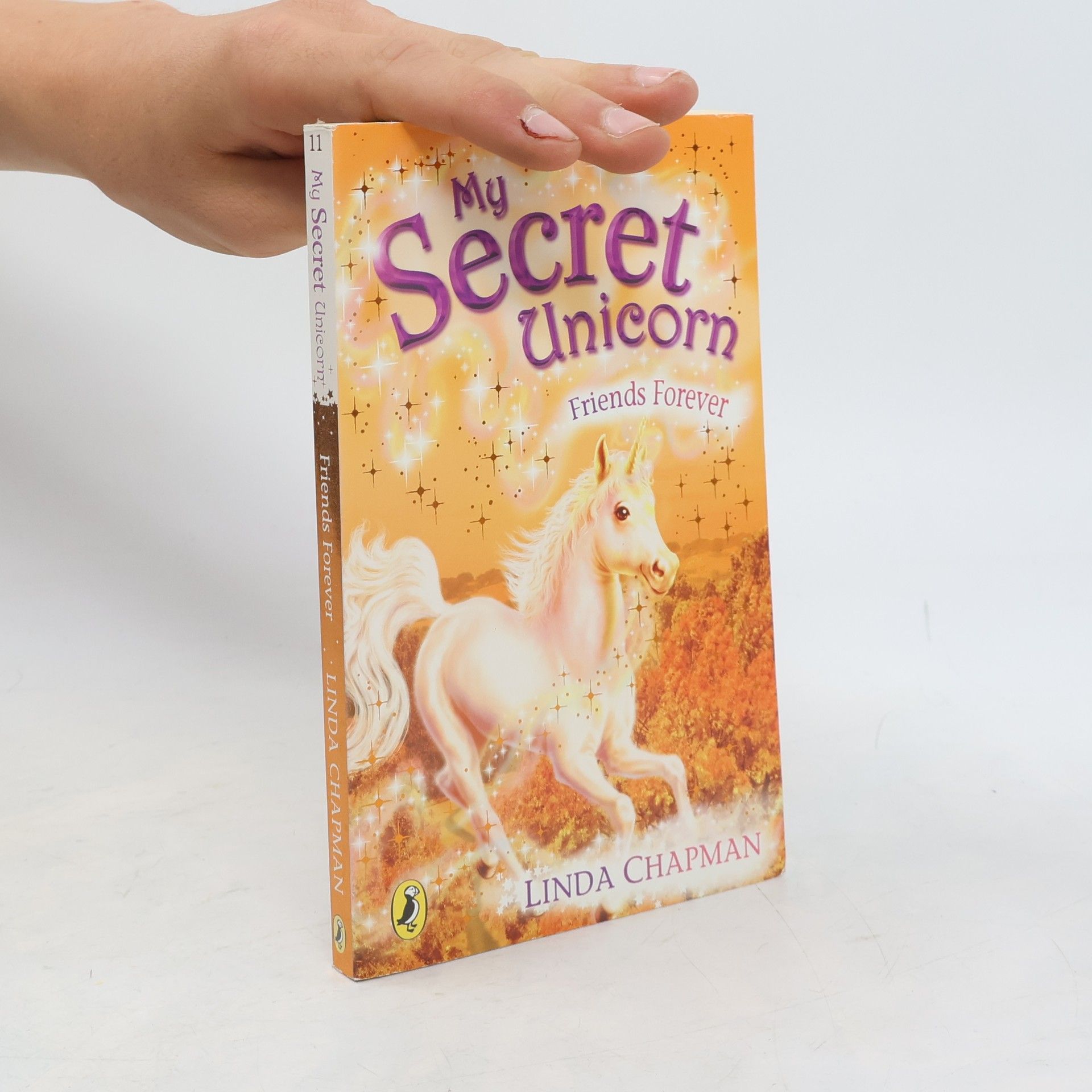 Linda Chapman My Secret Unicorn