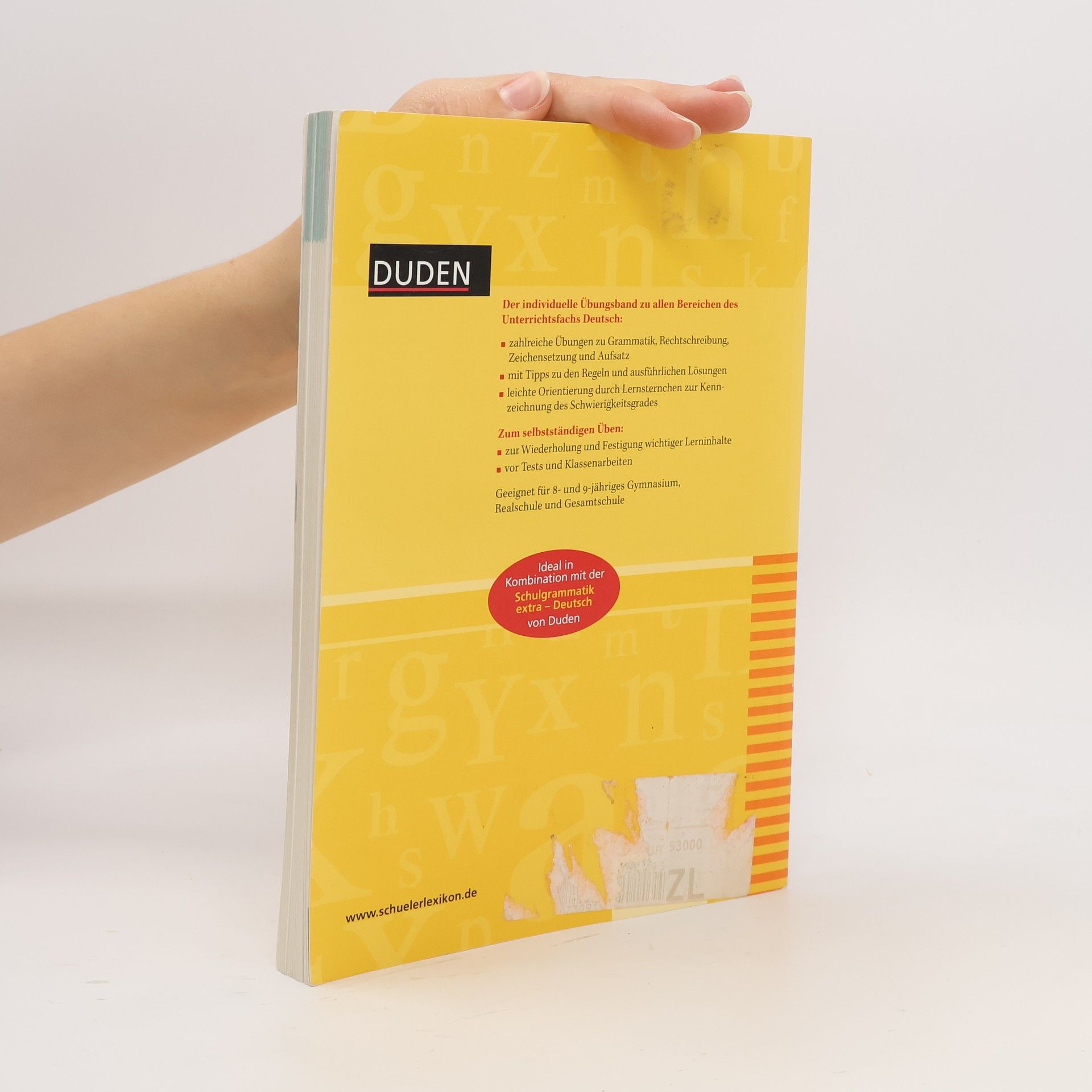 Anja Steinhauer Duden Übungsbuch extra Deutsch