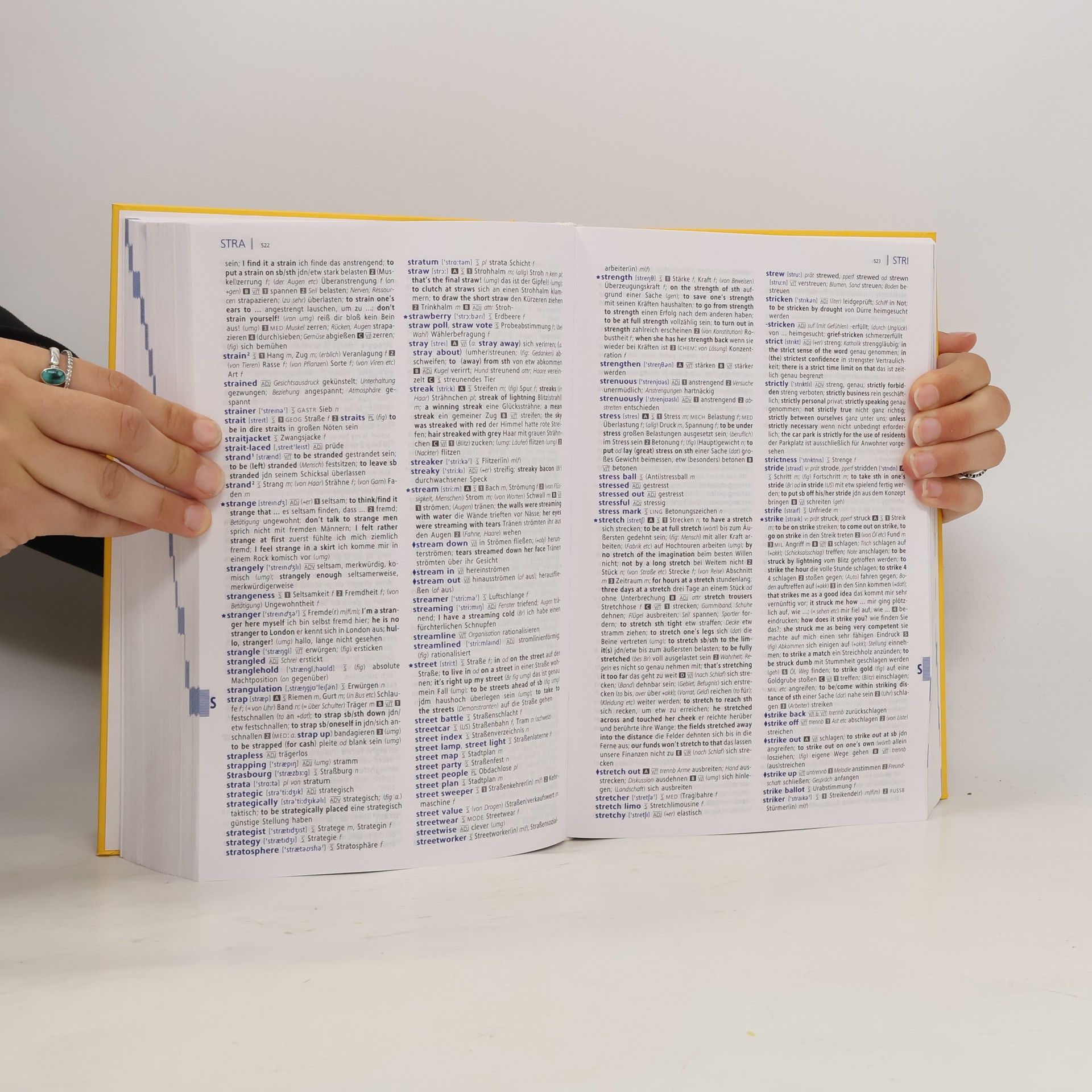Wolfgang Walther Langenscheidt, Abitur-Wörterbuch Englisch