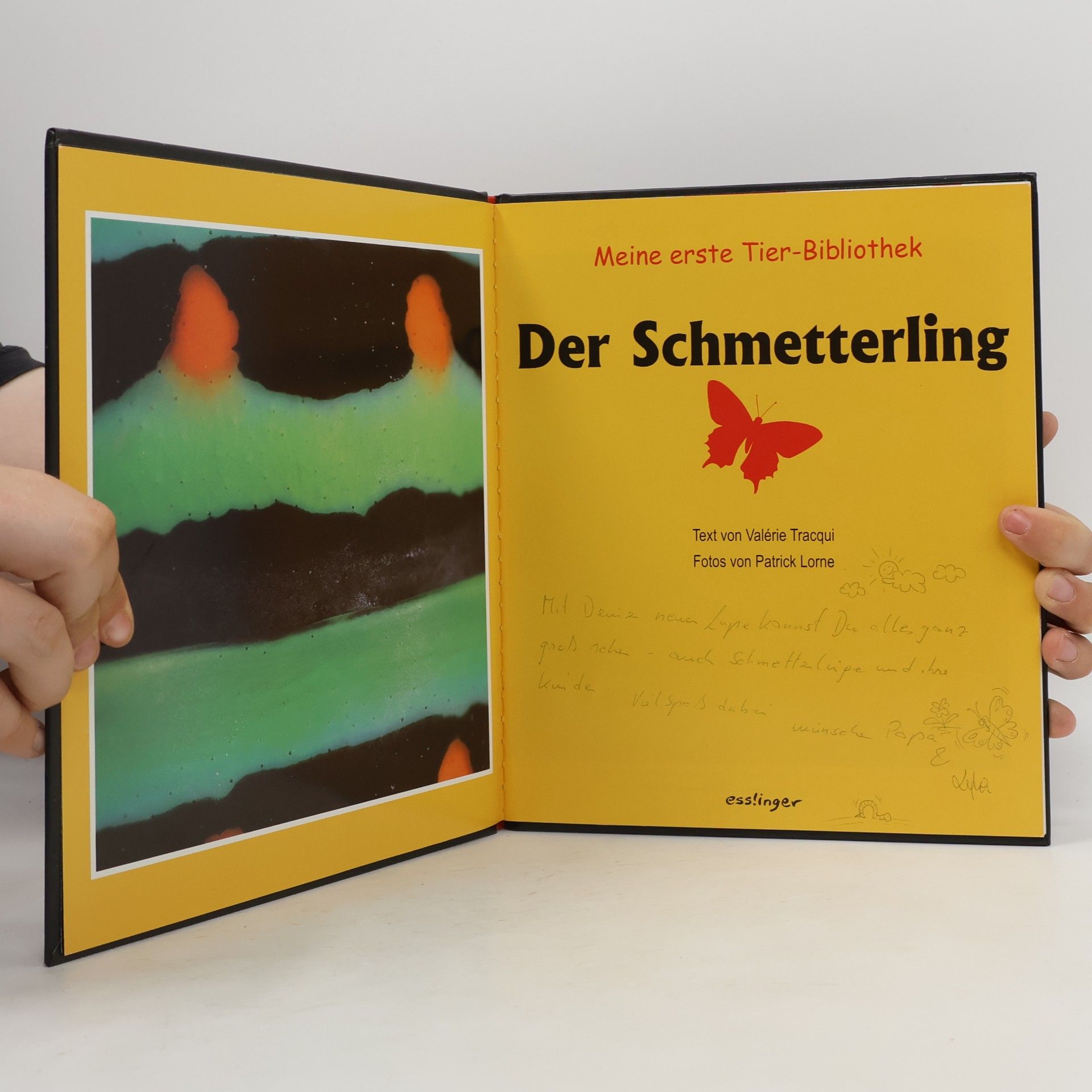 Valérie Tracqui Meine erste Tier-Bibliothek: Der Schmetterling