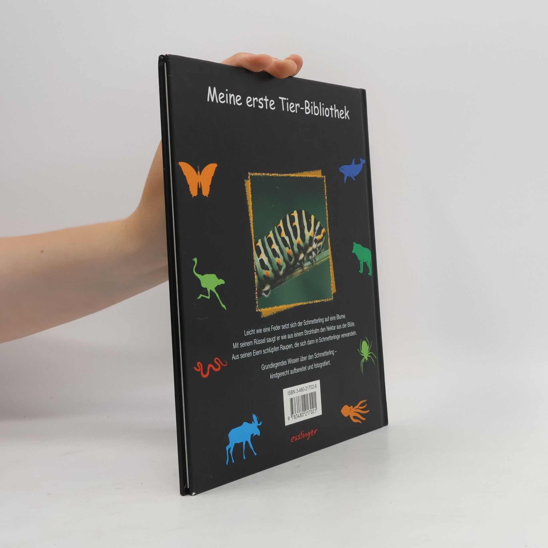 Valérie Tracqui Meine erste Tier-Bibliothek: Der Schmetterling