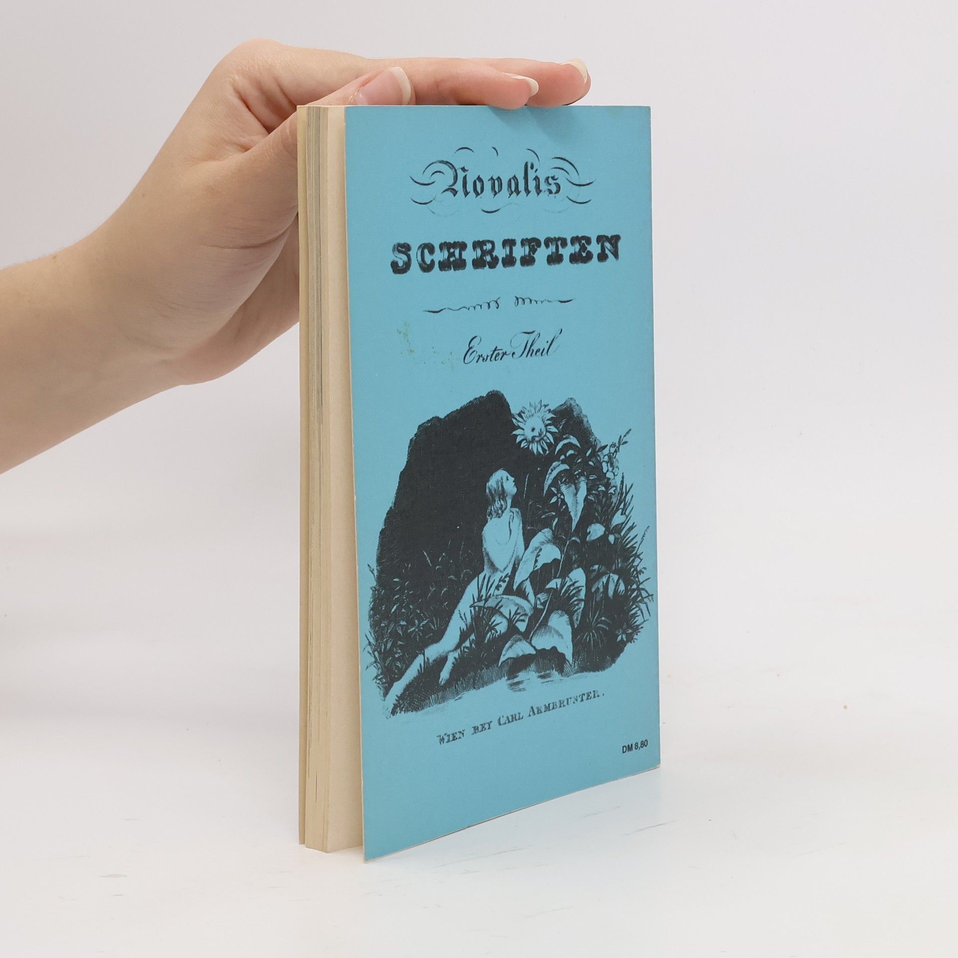Gerhard Schulz Novalis. Mit Selbstzeugnissen und Bilddokumenten