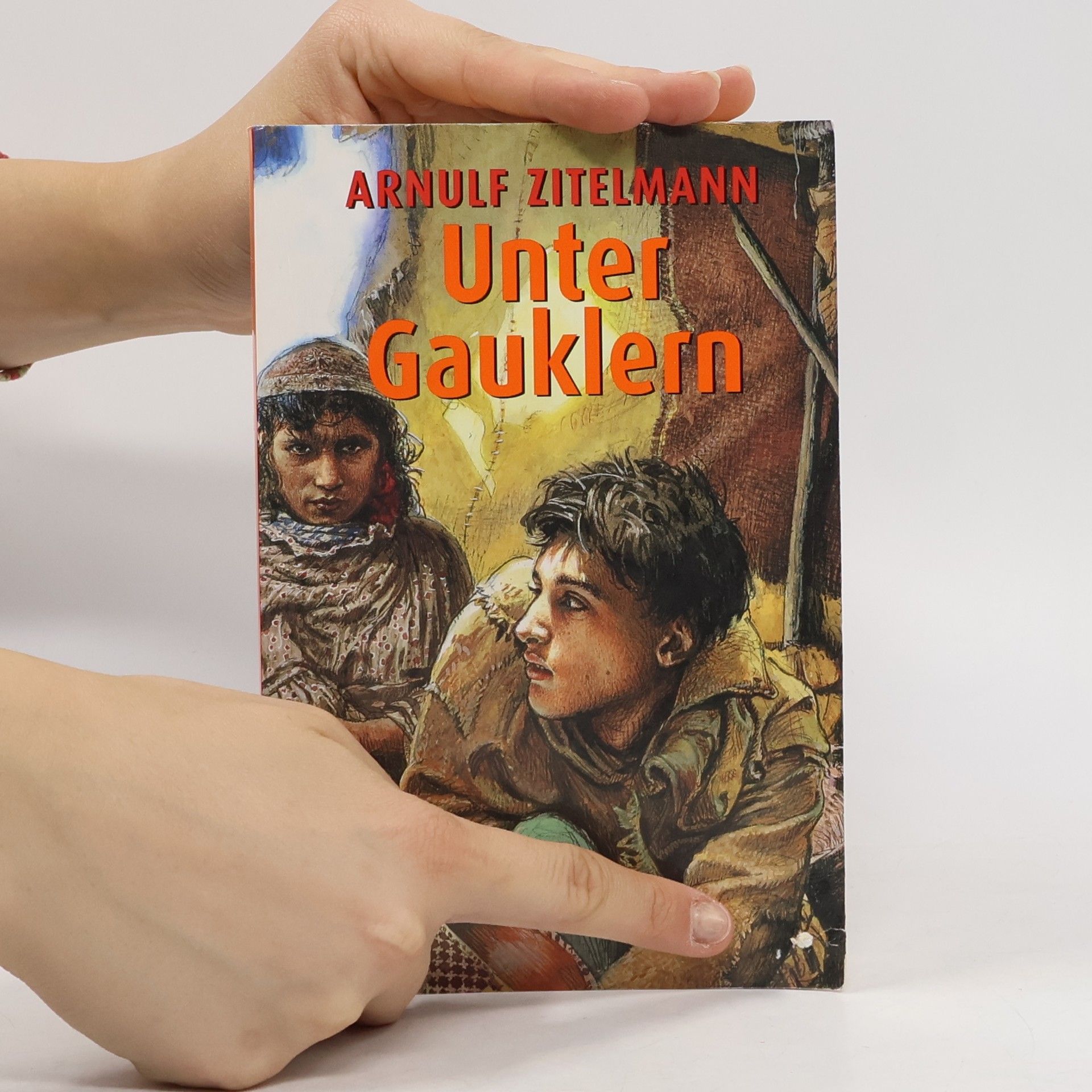 Arnulf Zitelmann Unter Gauklern