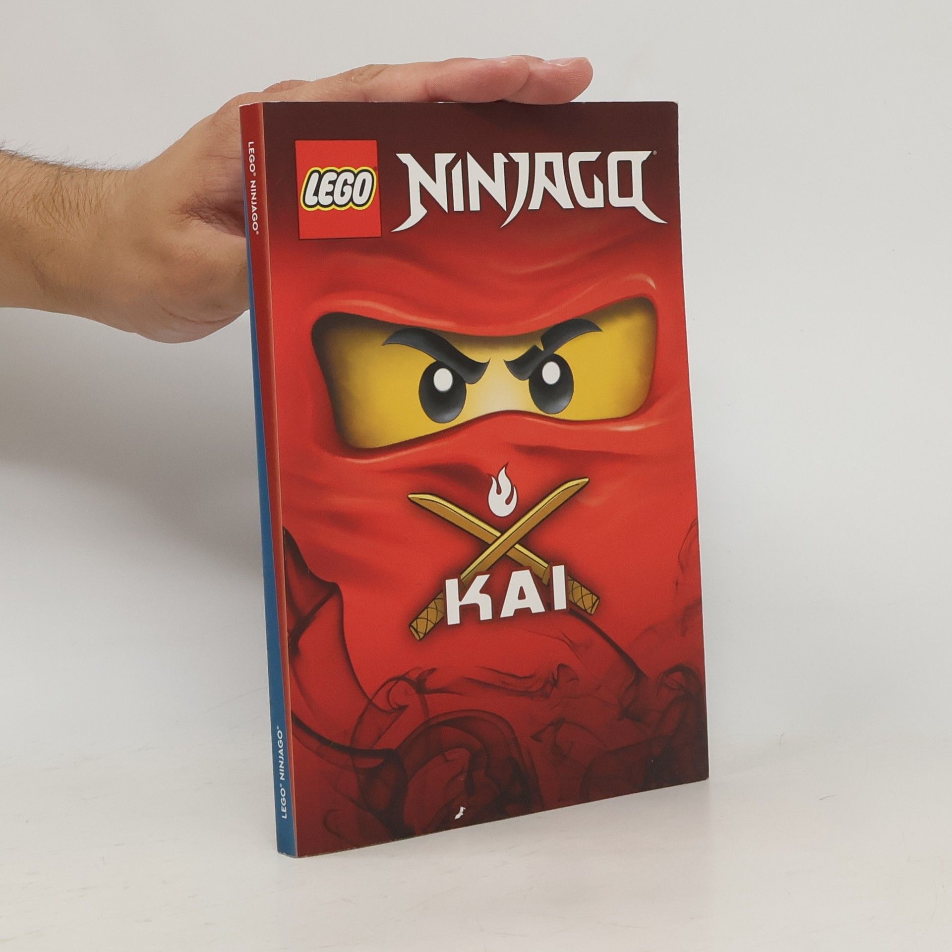 Autorenkollektiv Lego Ninjago. Kai & Jay