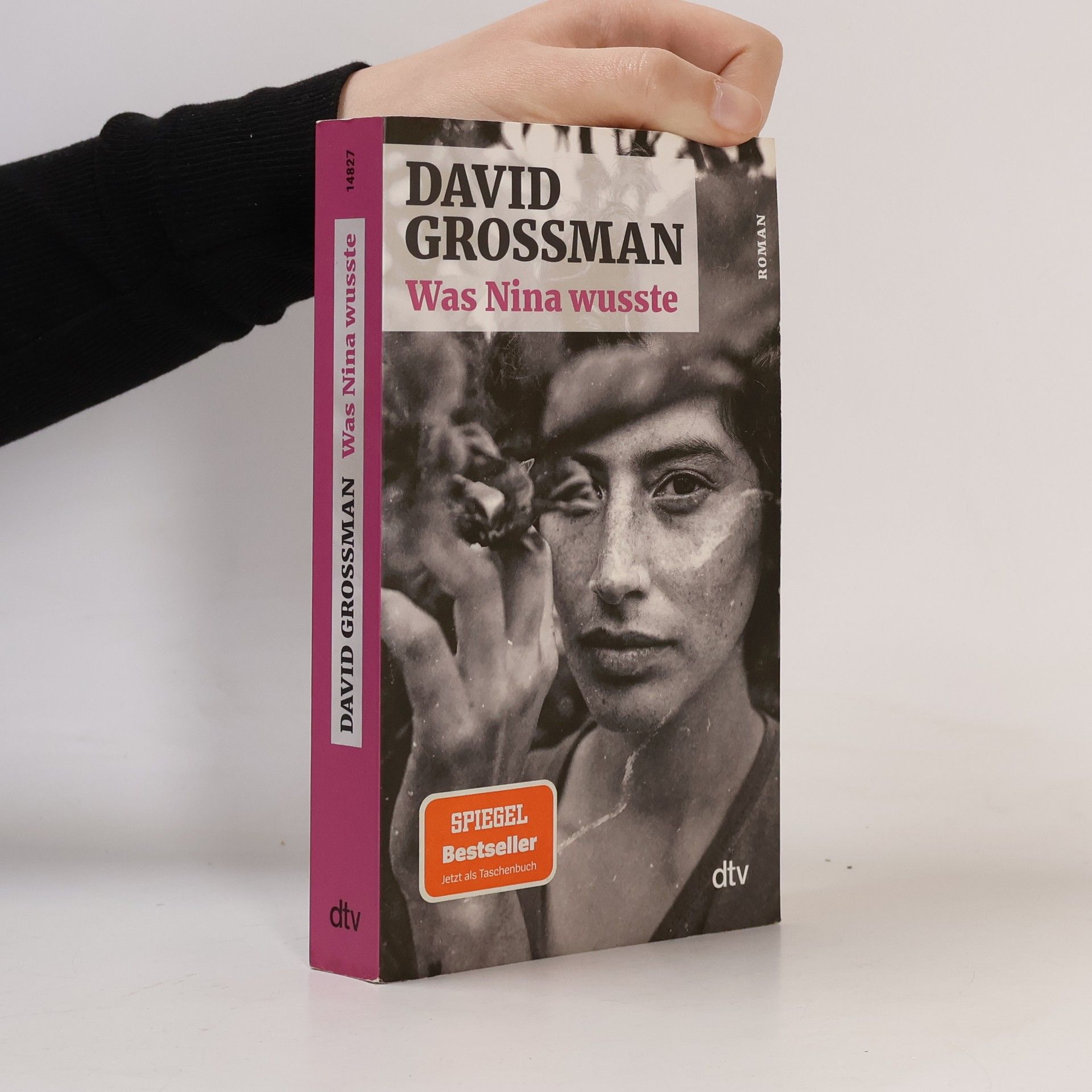 David Grossman Was Nina wusste