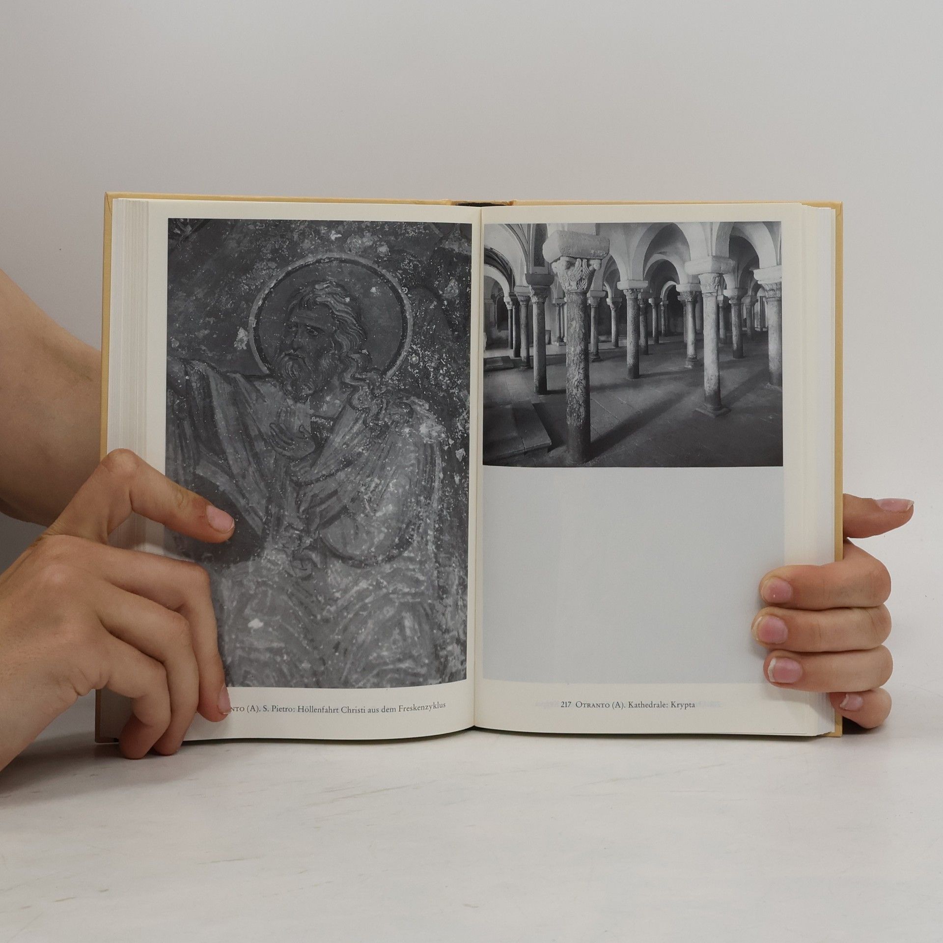 Valentino Pace Kunstdenkmäler in Süditalien: Apulien, Basilicata, Kalabrien