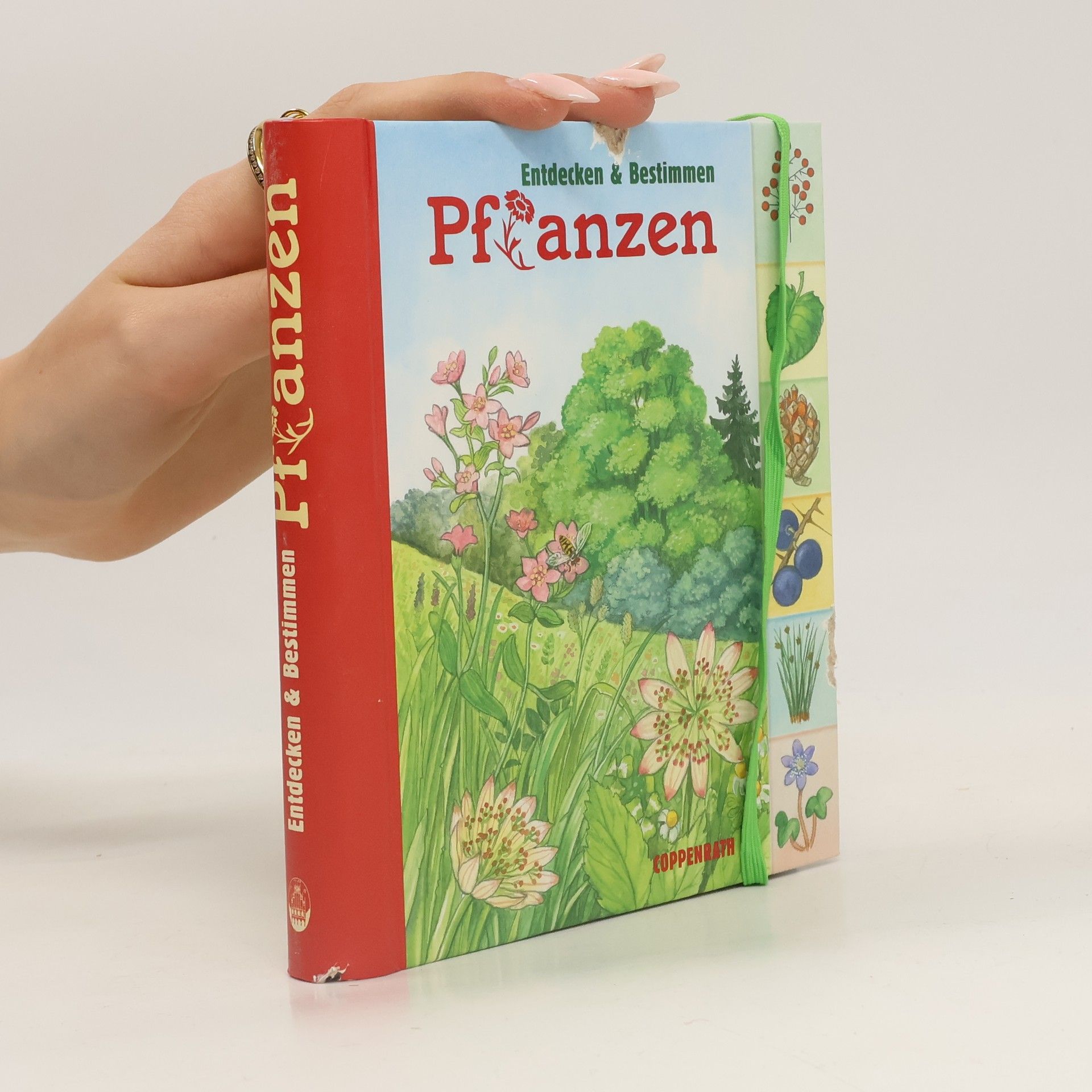 Barbara Wernsing-Bottmeyer Kreativ- und Sachbücher: Pflanzen