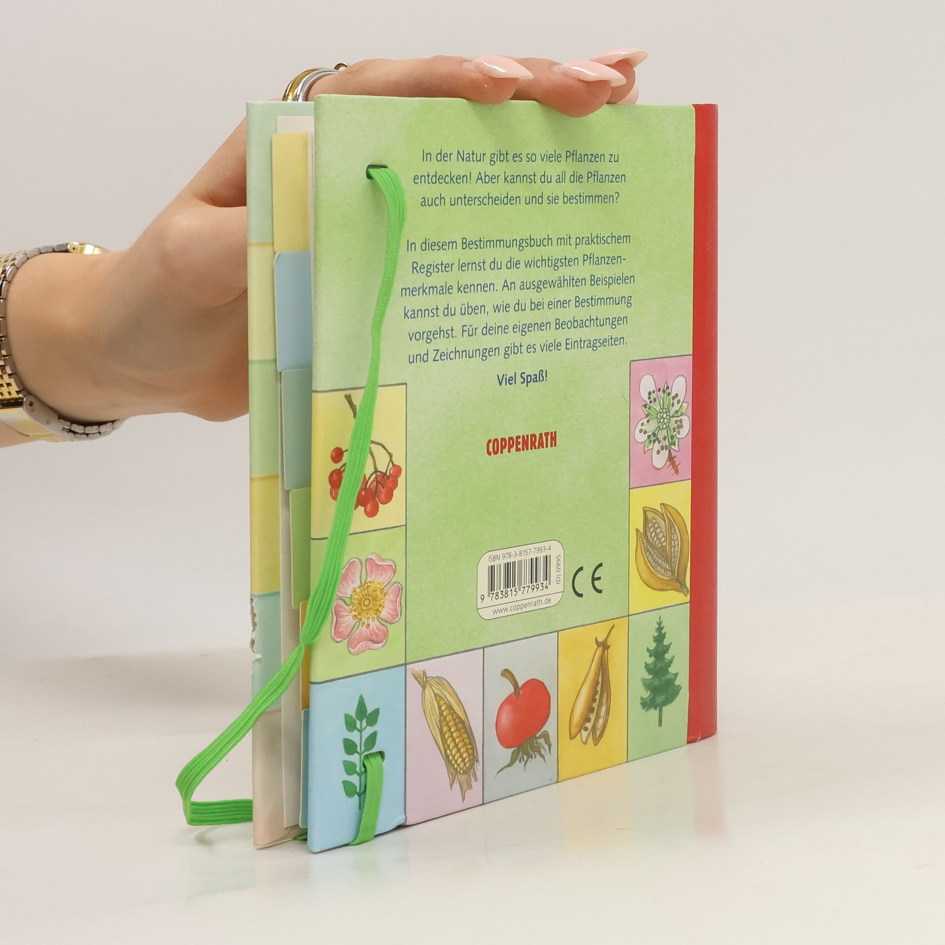 Barbara Wernsing-Bottmeyer Kreativ- und Sachbücher: Pflanzen