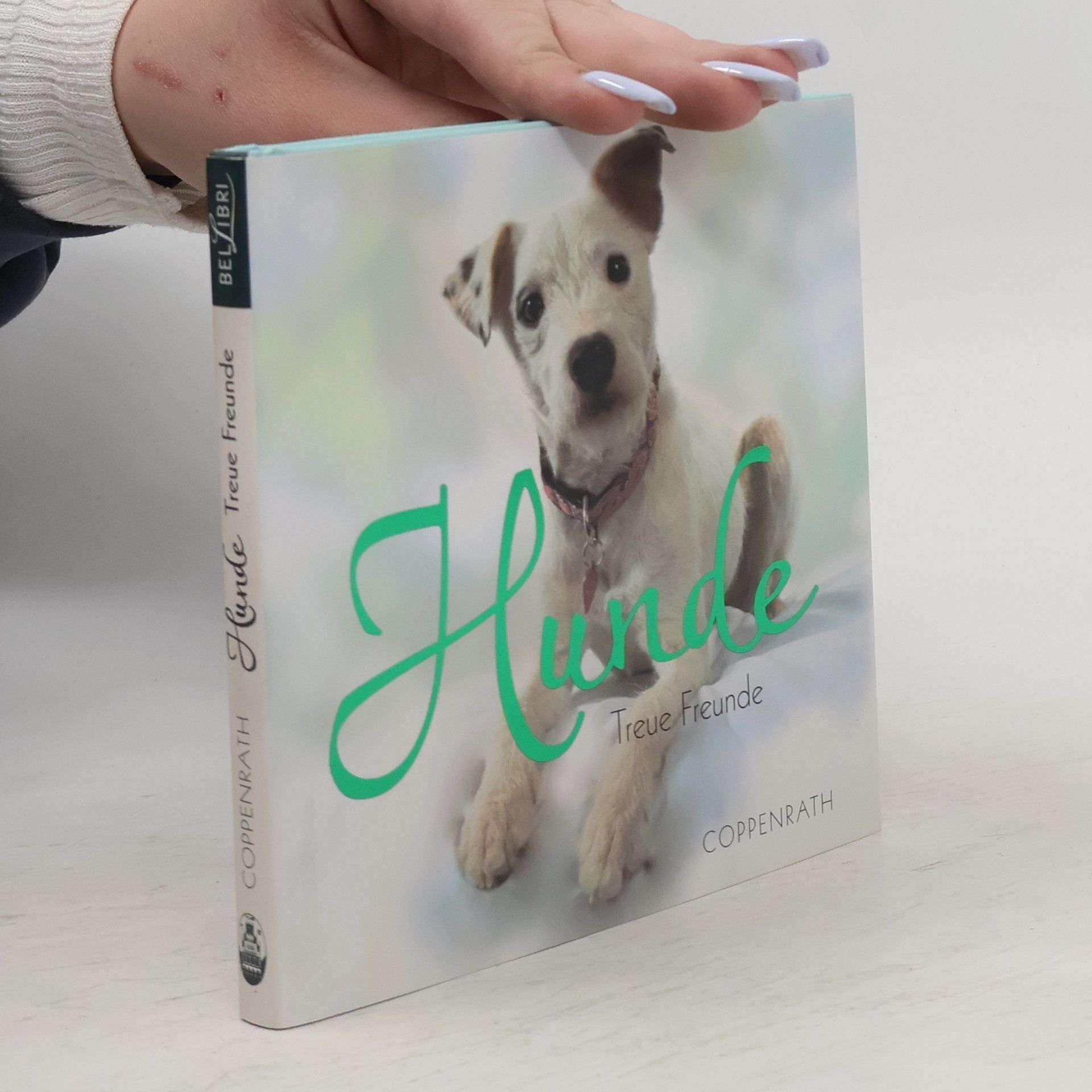Kai König Hunde - treue Freunde