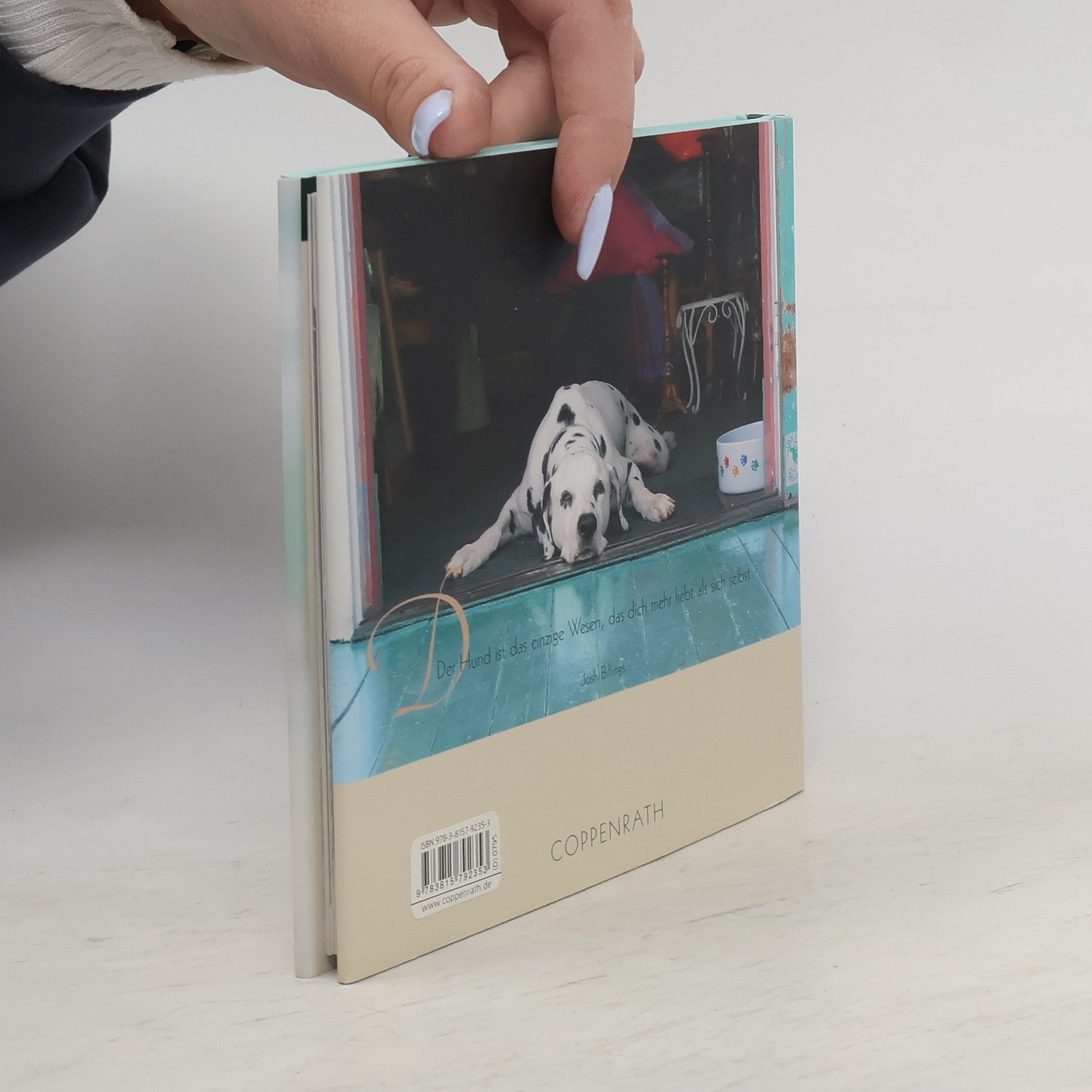 Kai König Hunde - treue Freunde
