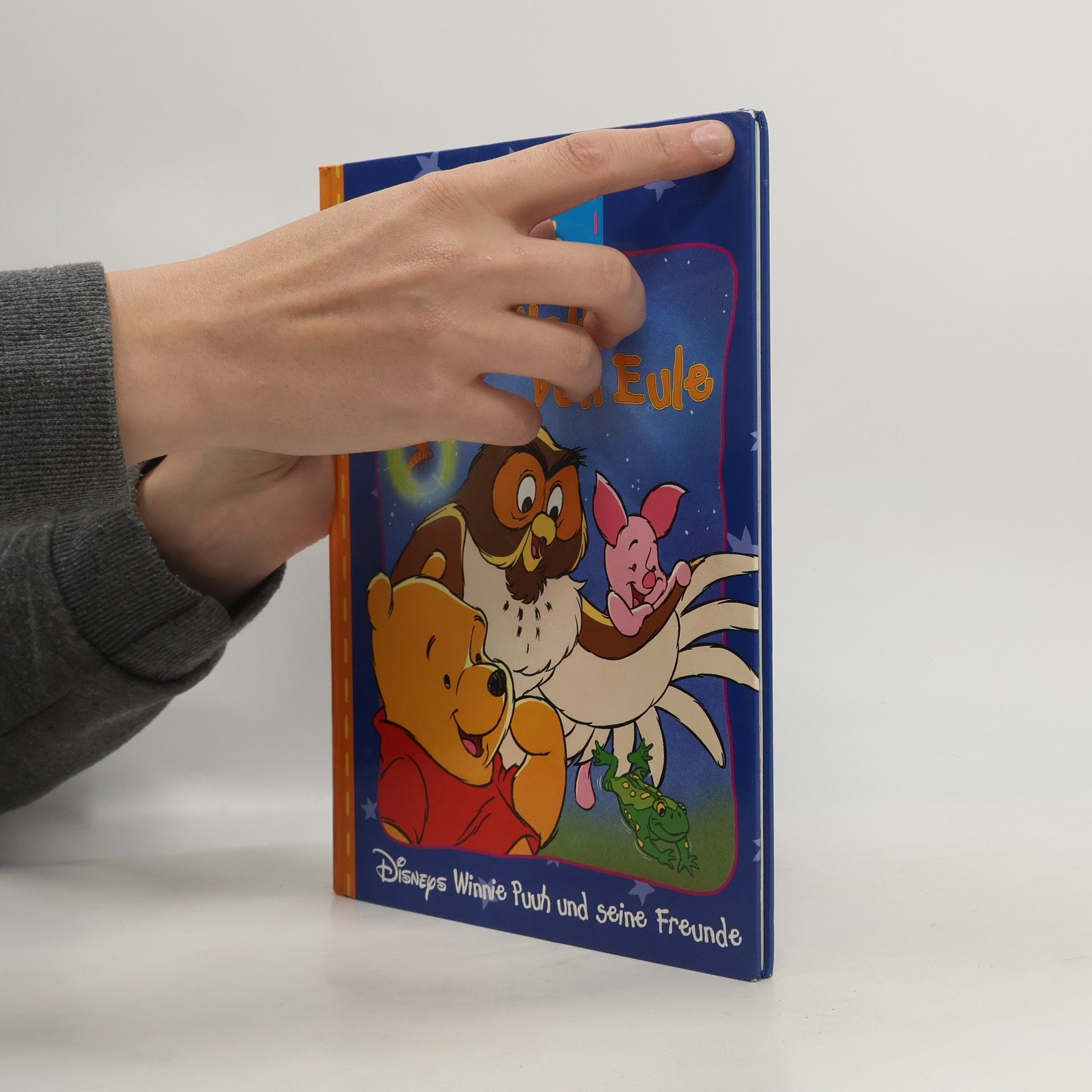 Autorenkollektiv Winnie Puuh. Die Welt von Eule