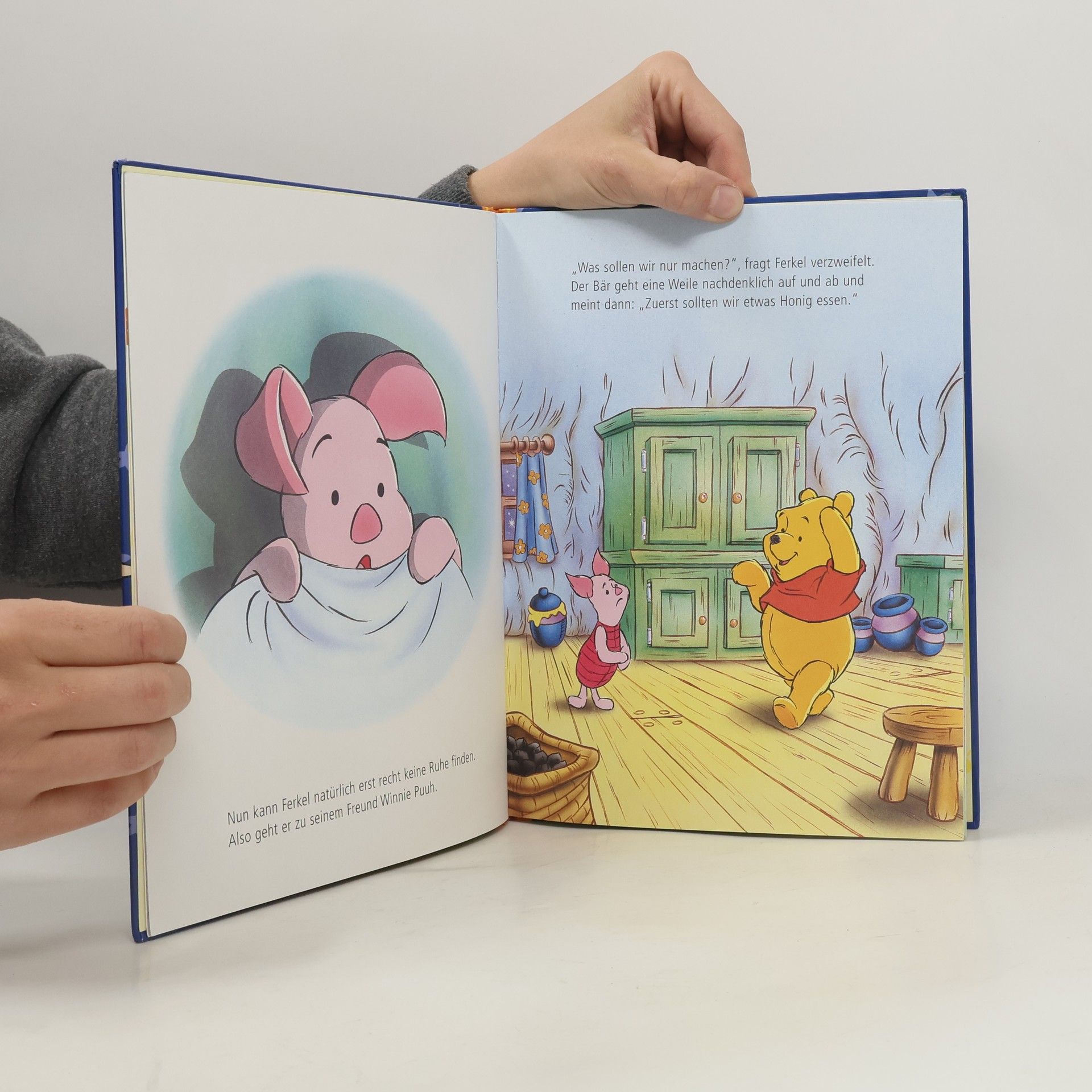 Autorenkollektiv Winnie Puuh. Die Welt von Eule