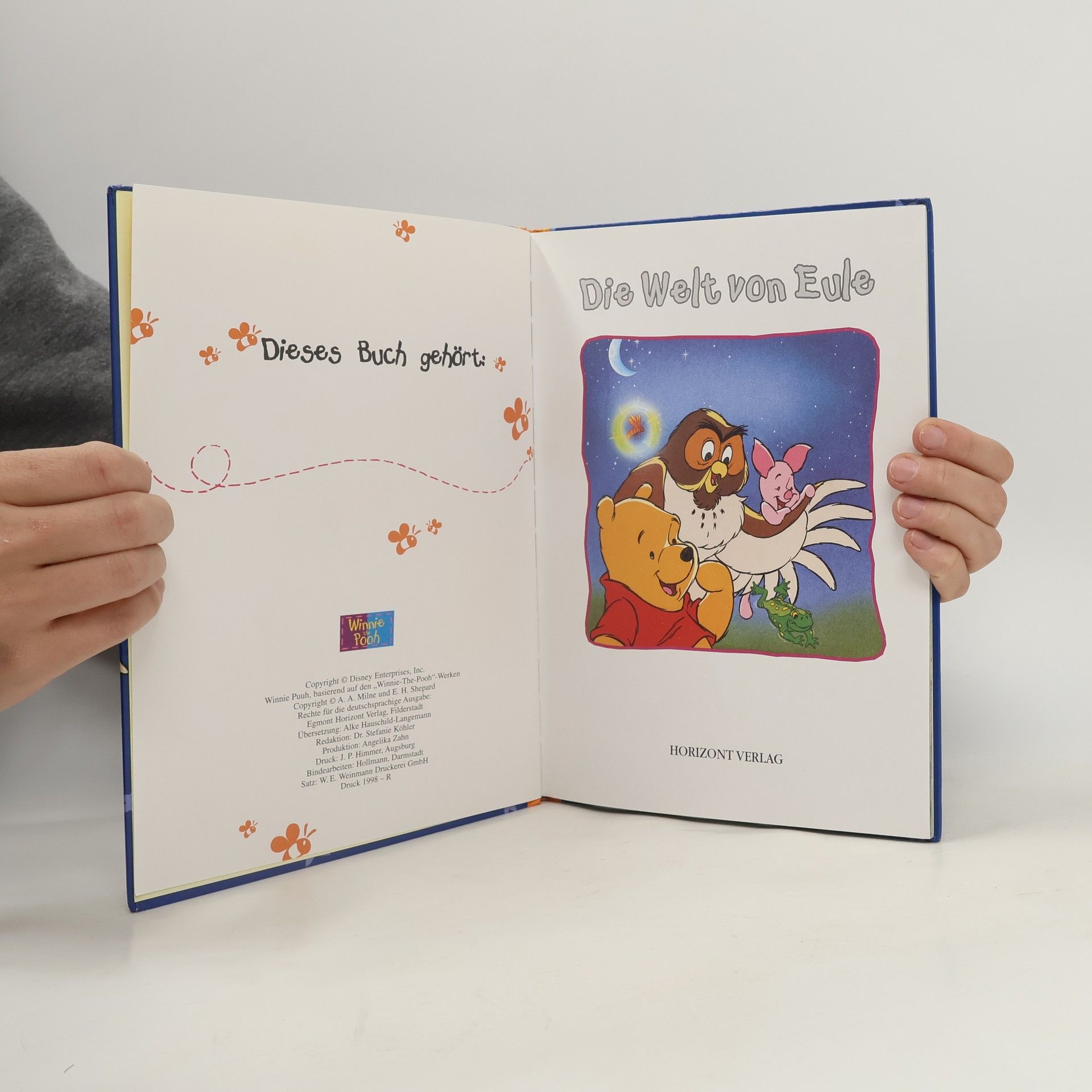 Autorenkollektiv Winnie Puuh. Die Welt von Eule