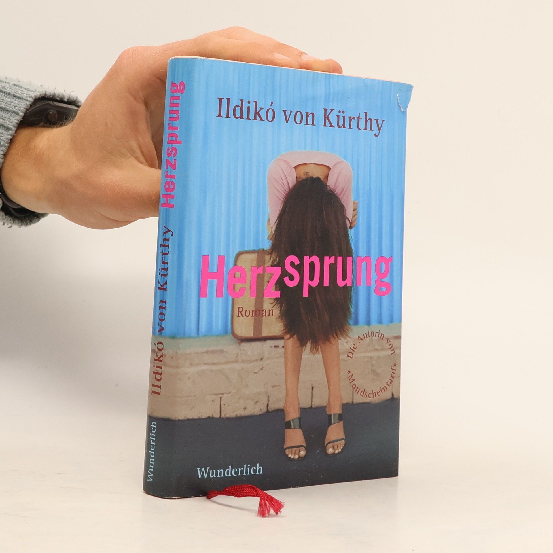 Karin Alvtegen Die Flüchtige