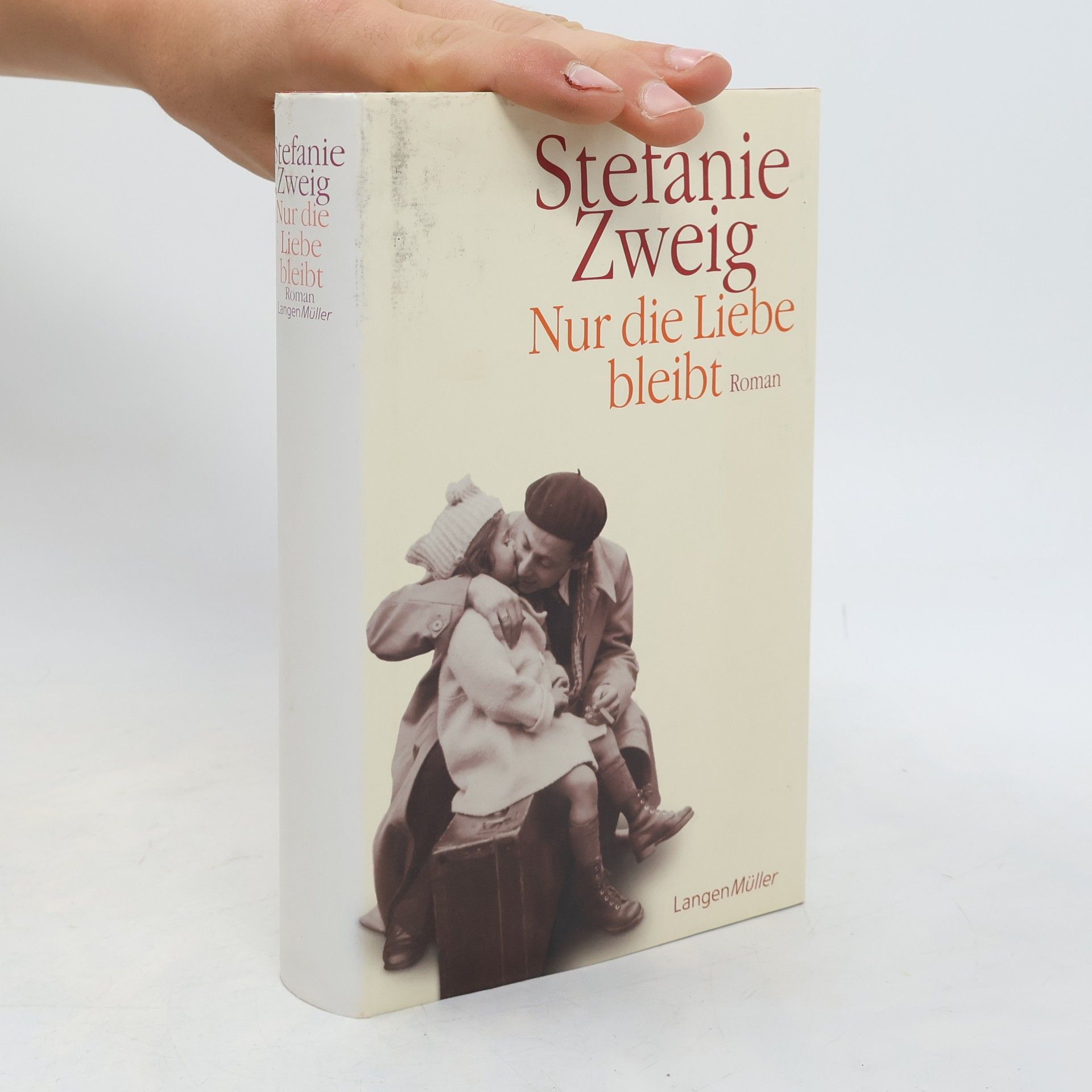 Stefanie Zweig Nur die Liebe bleibt
