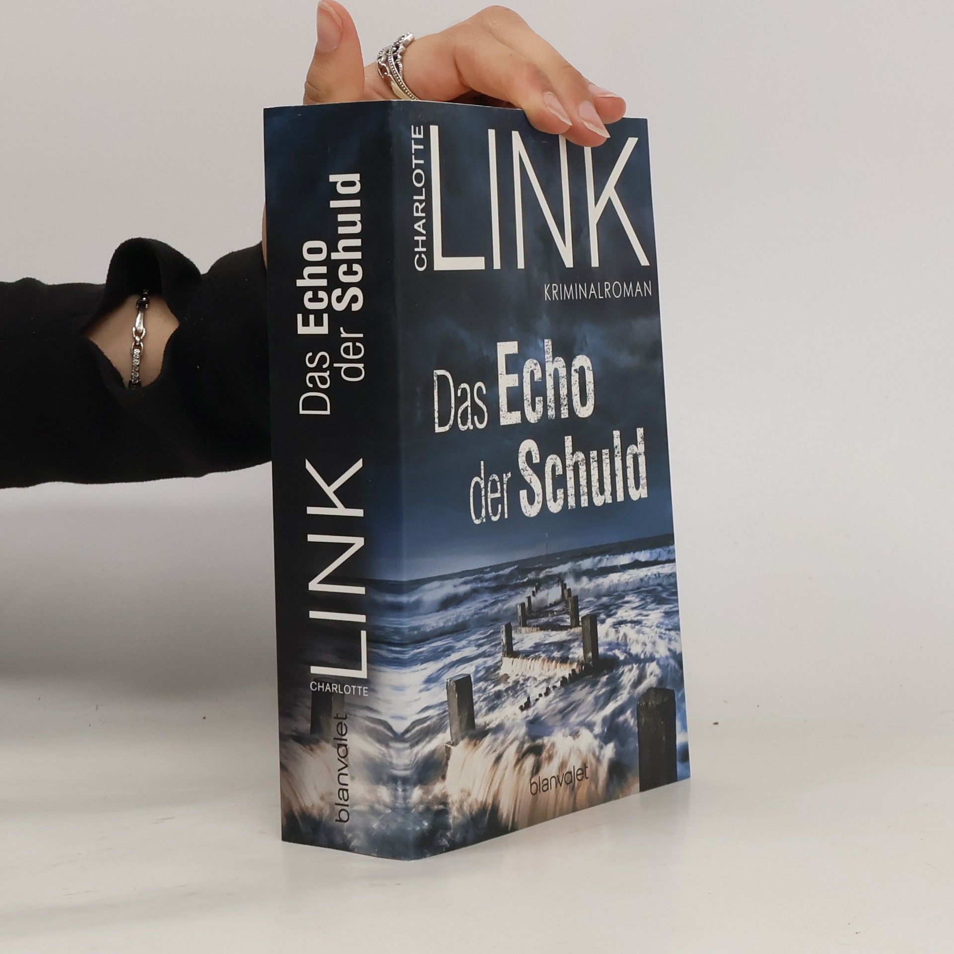 Charlotte Link Das Echo der Schuld