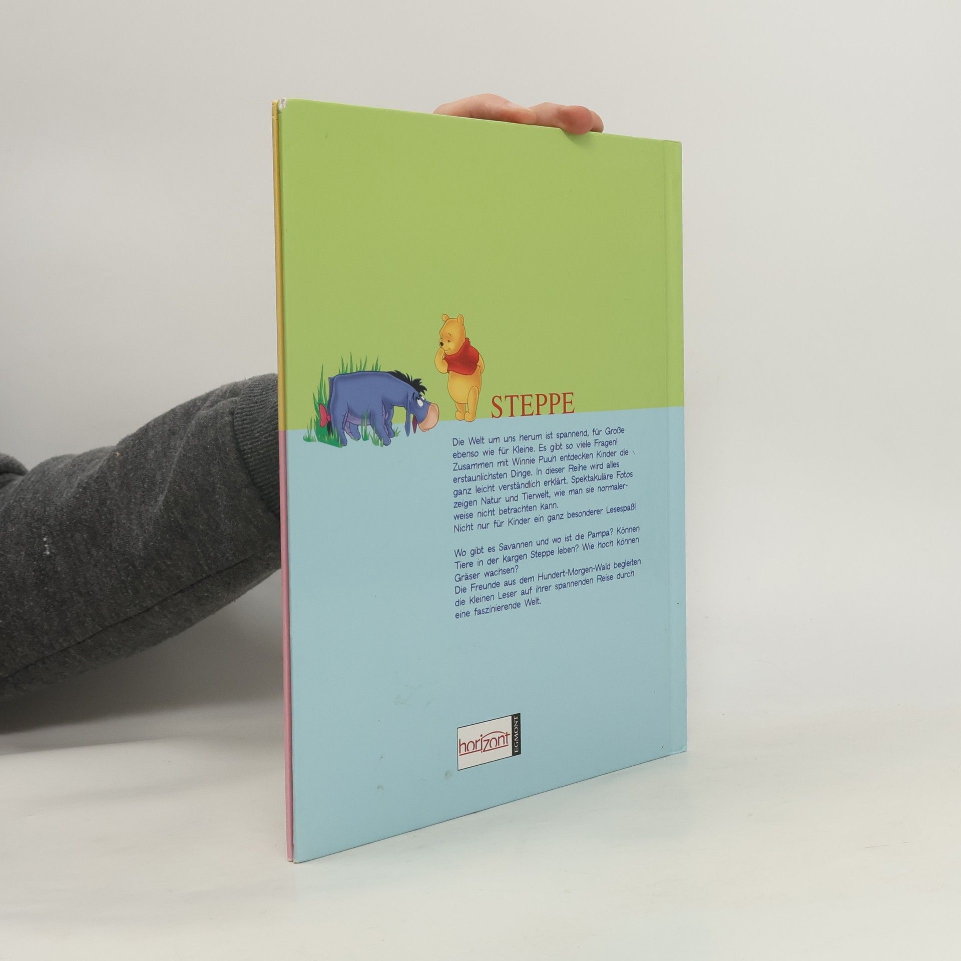 Kolektiv autorů Mein erstes Buch der Wüste