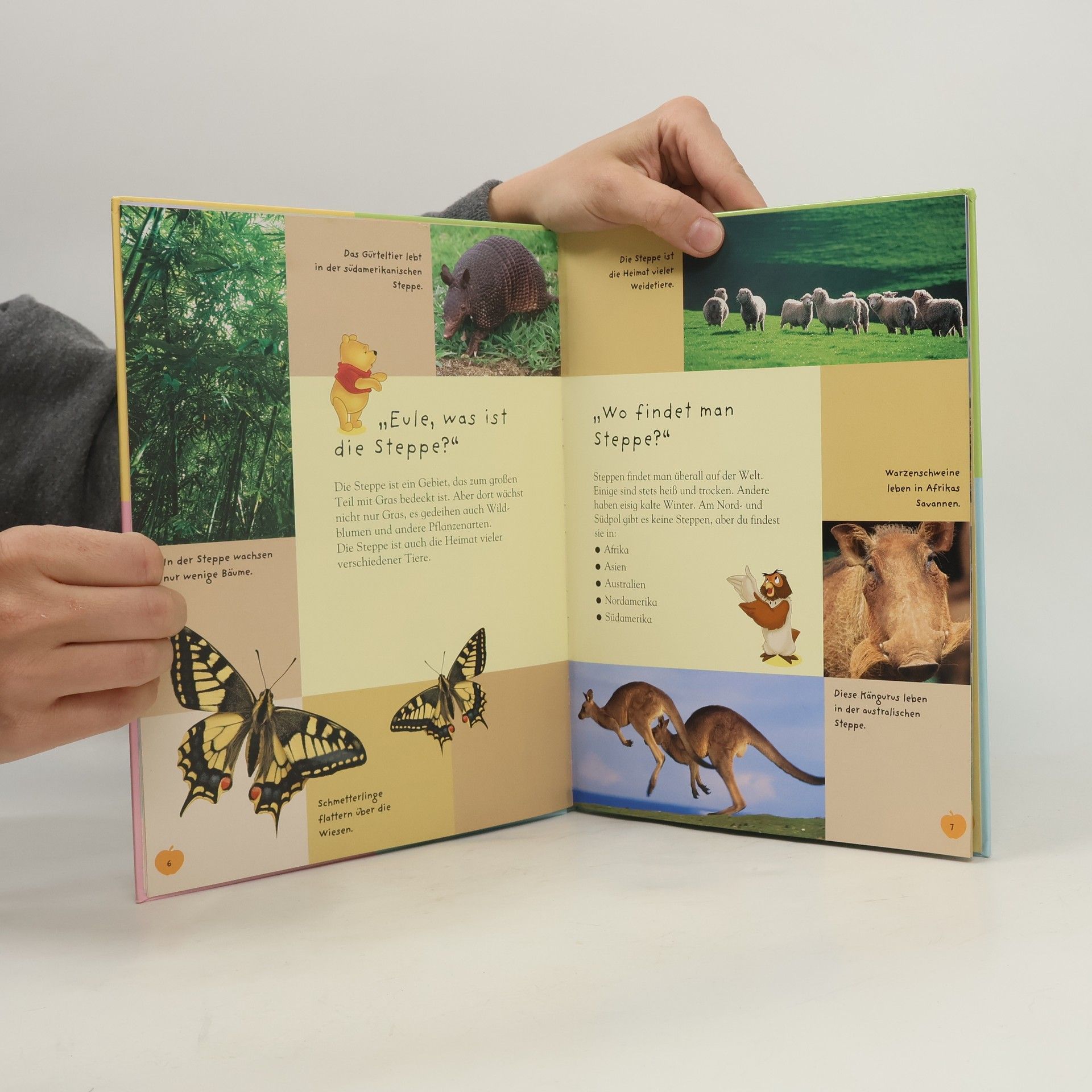 Kolektiv autorů Mein erstes Buch der Wüste