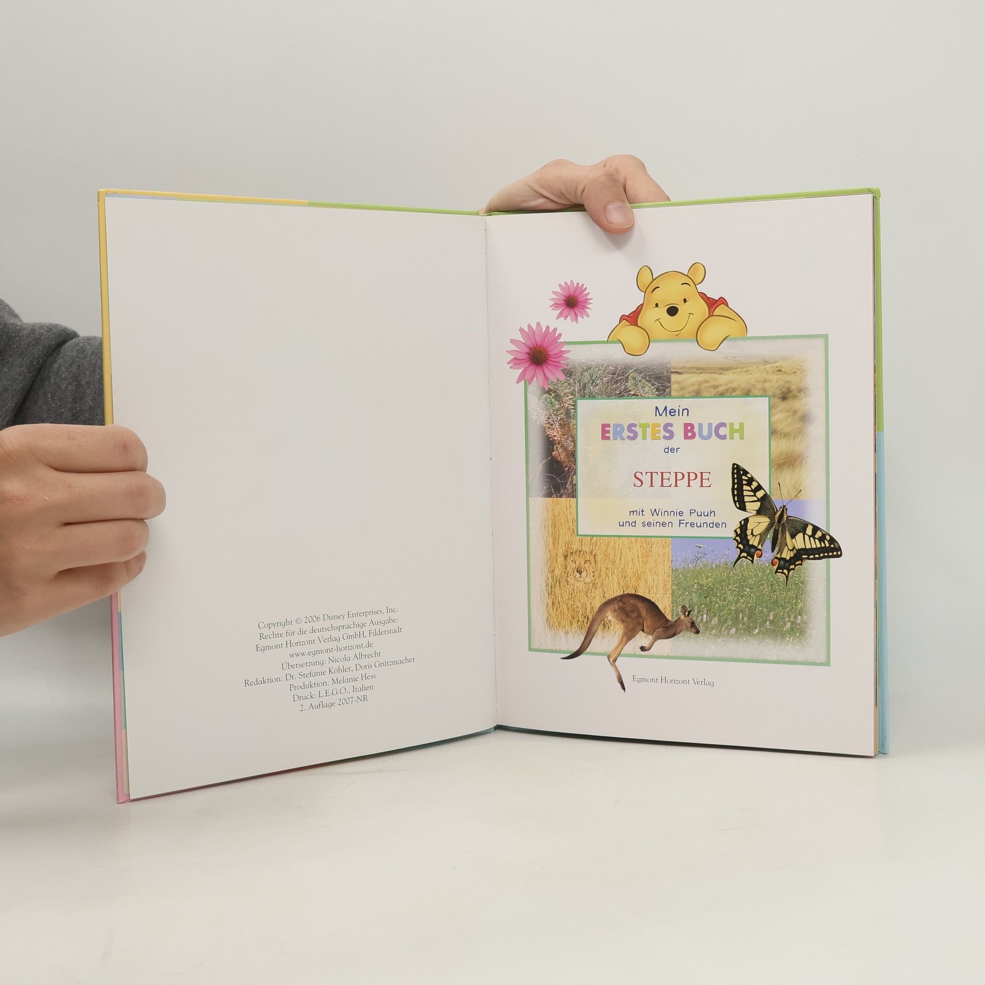 Kolektiv autorů Mein erstes Buch der Wüste