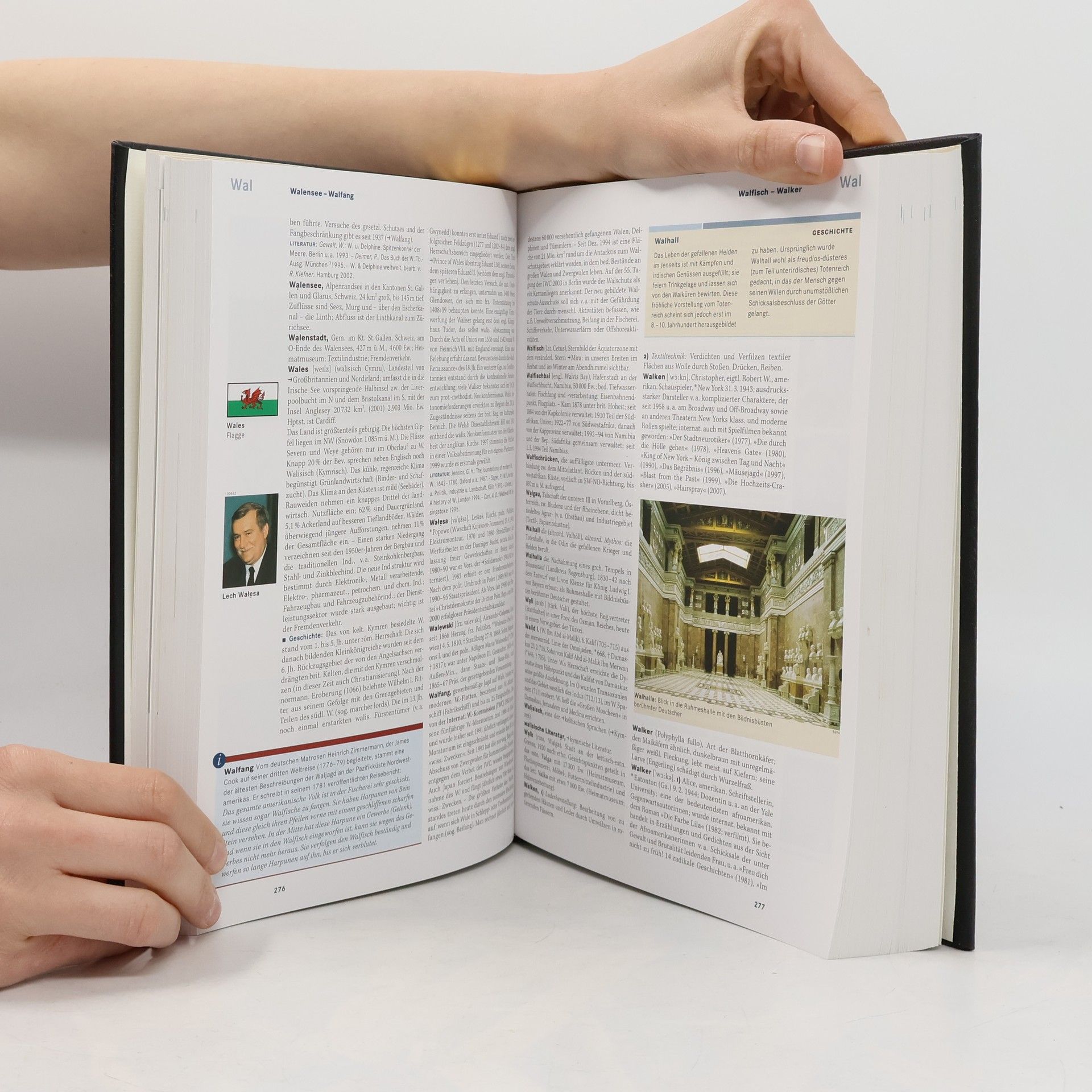 Kolektiv autorů Brockhaus in 12 Bänden 11 VAK-ZZ