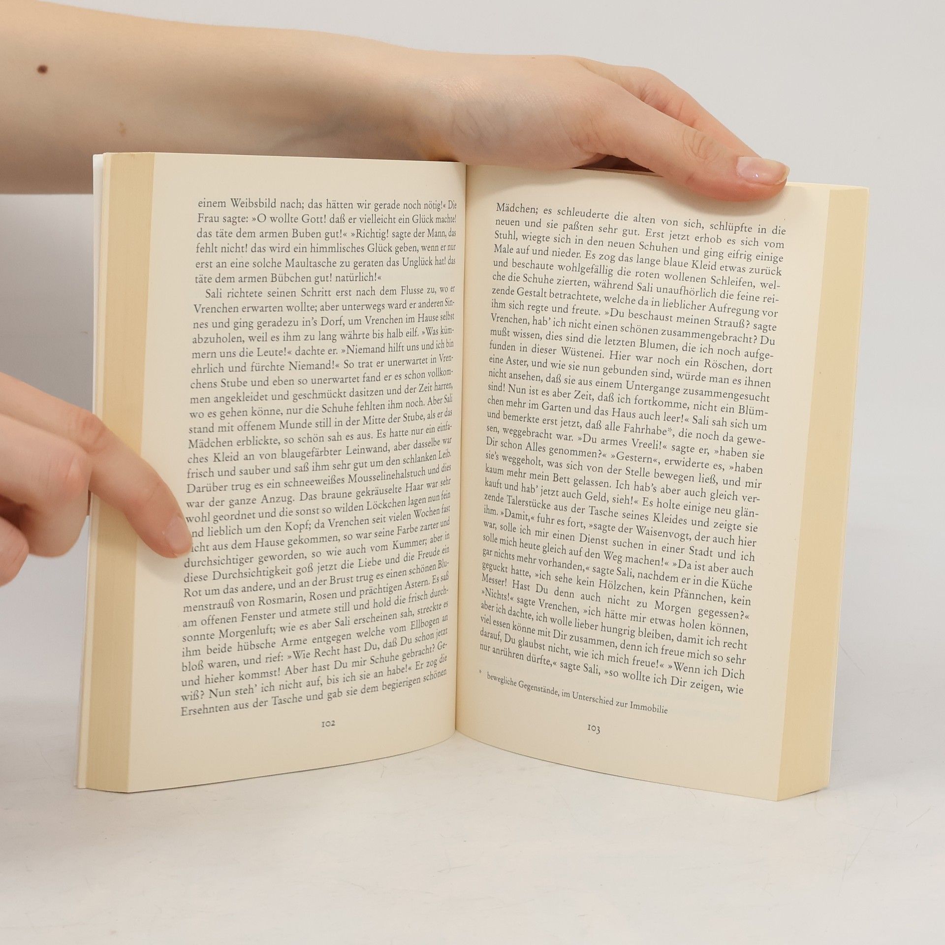 Gottfried Keller Fischer Klassik: Das große Lesebuch