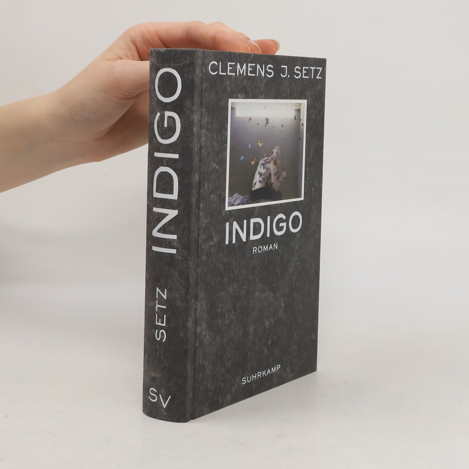Clemens J. Setz Indigo