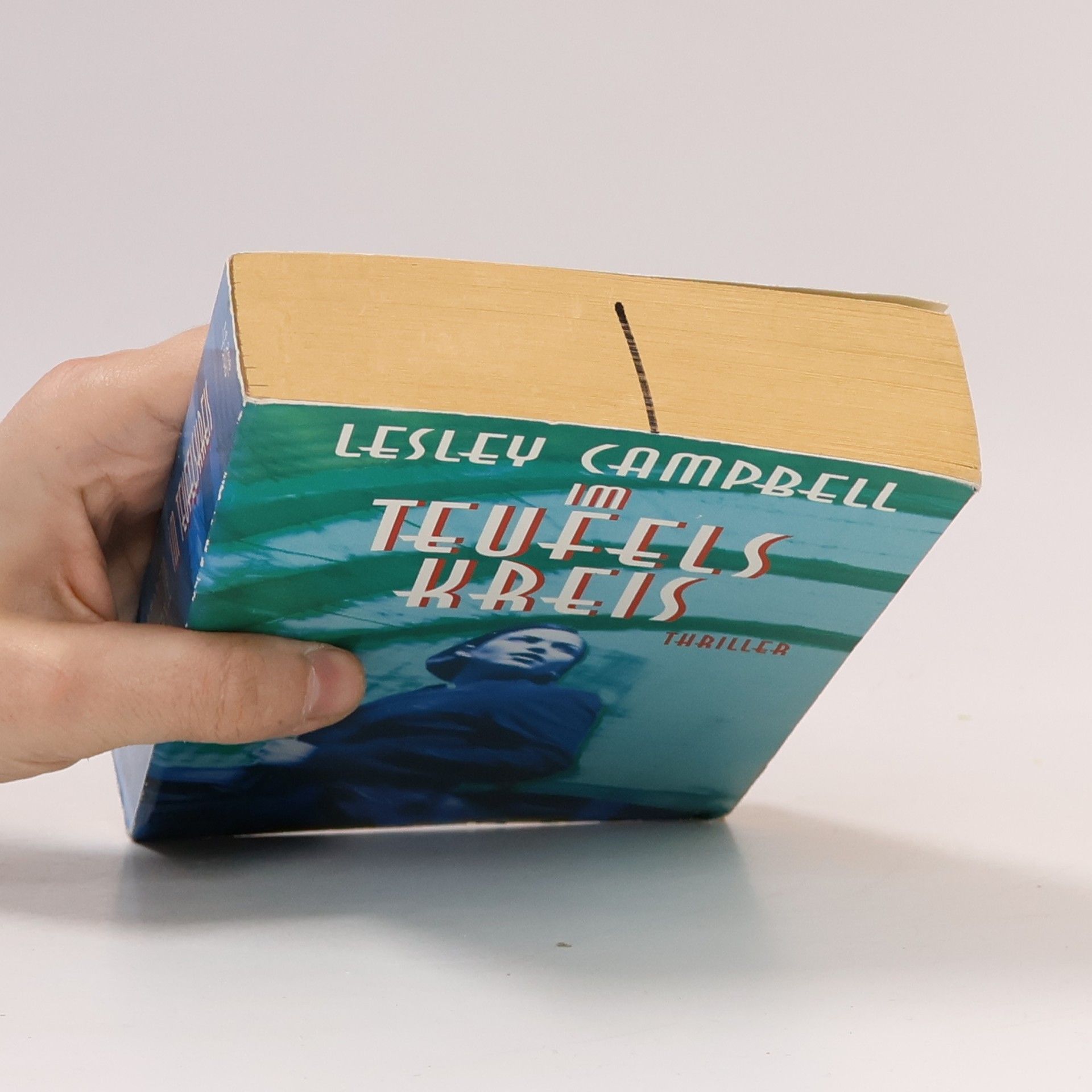 Lesley Campbell Im Teufelskreis. Thriller. Aus d. Engl. v. Marcel Bieger