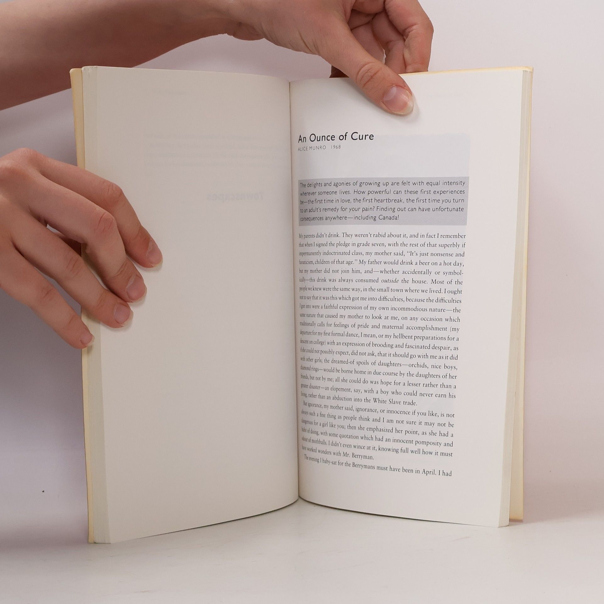 Jimmy Rice Figures In A Landscape: Writing From Canada