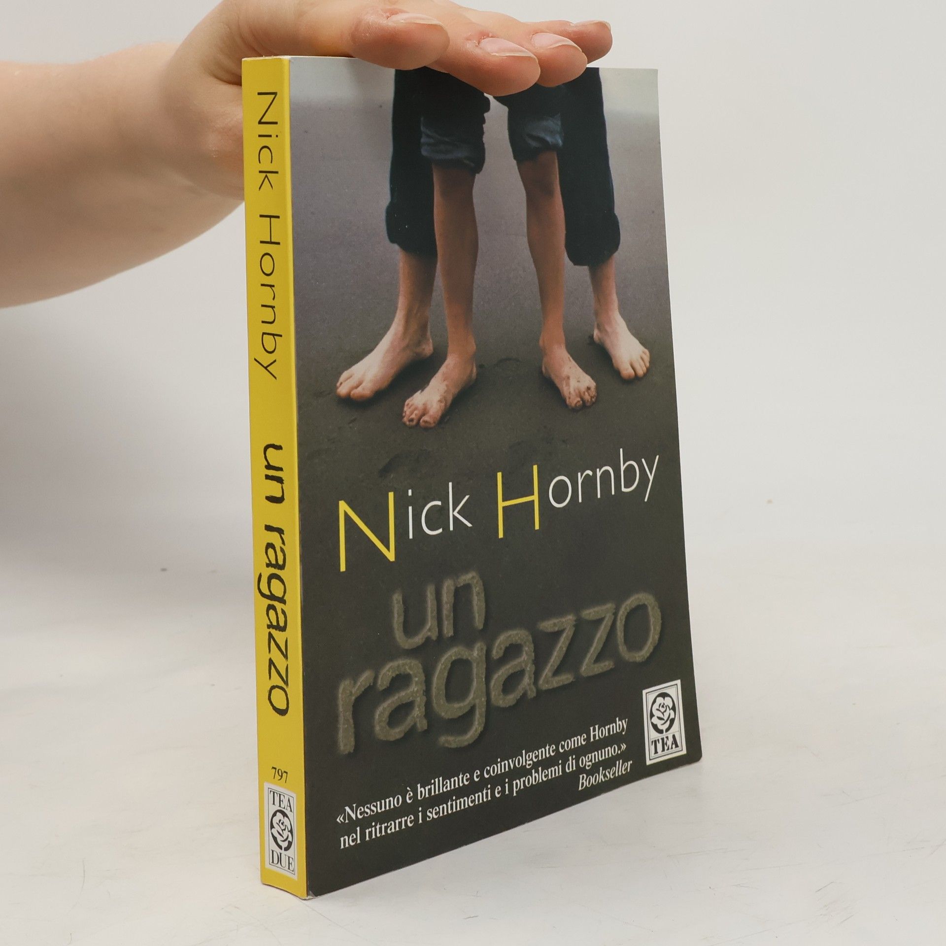 Nick Hornby Un ragazzo