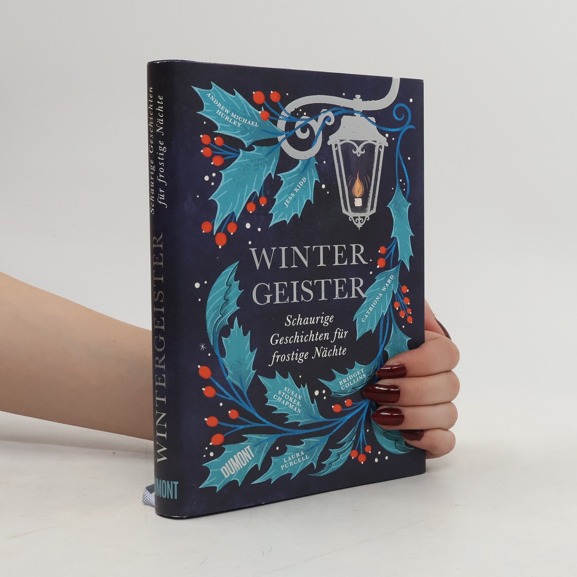 Bridget Collins Wintergeister