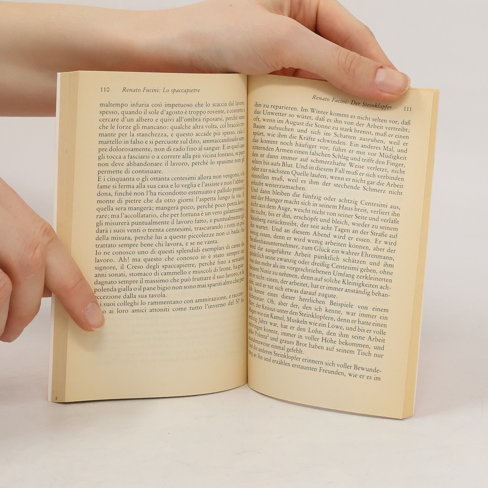Johannes Hösle Reclams Universal-Bibliothek: Erzählungen des italienischen Realismus