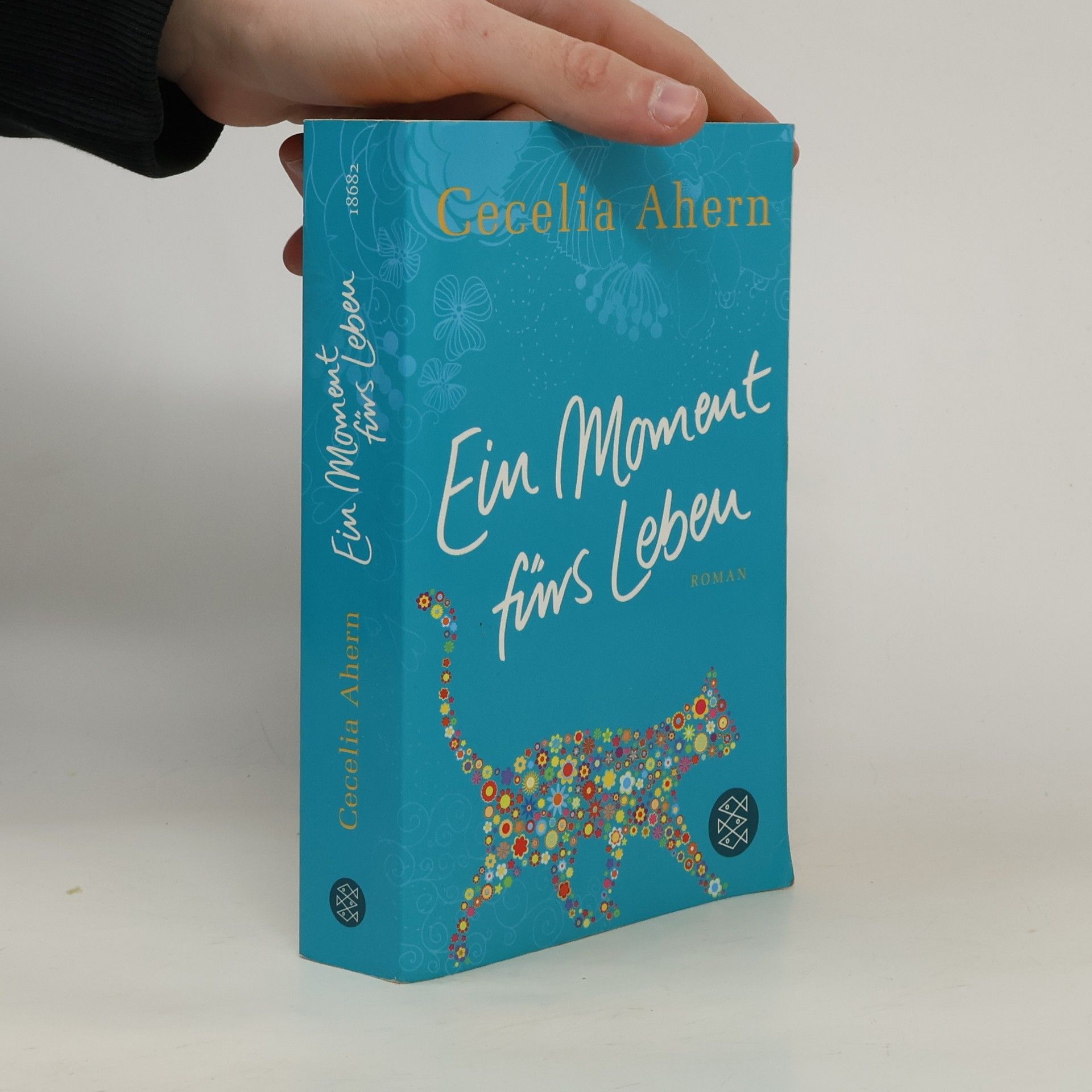 Cecelia Ahern Ein Moment fürs Leben