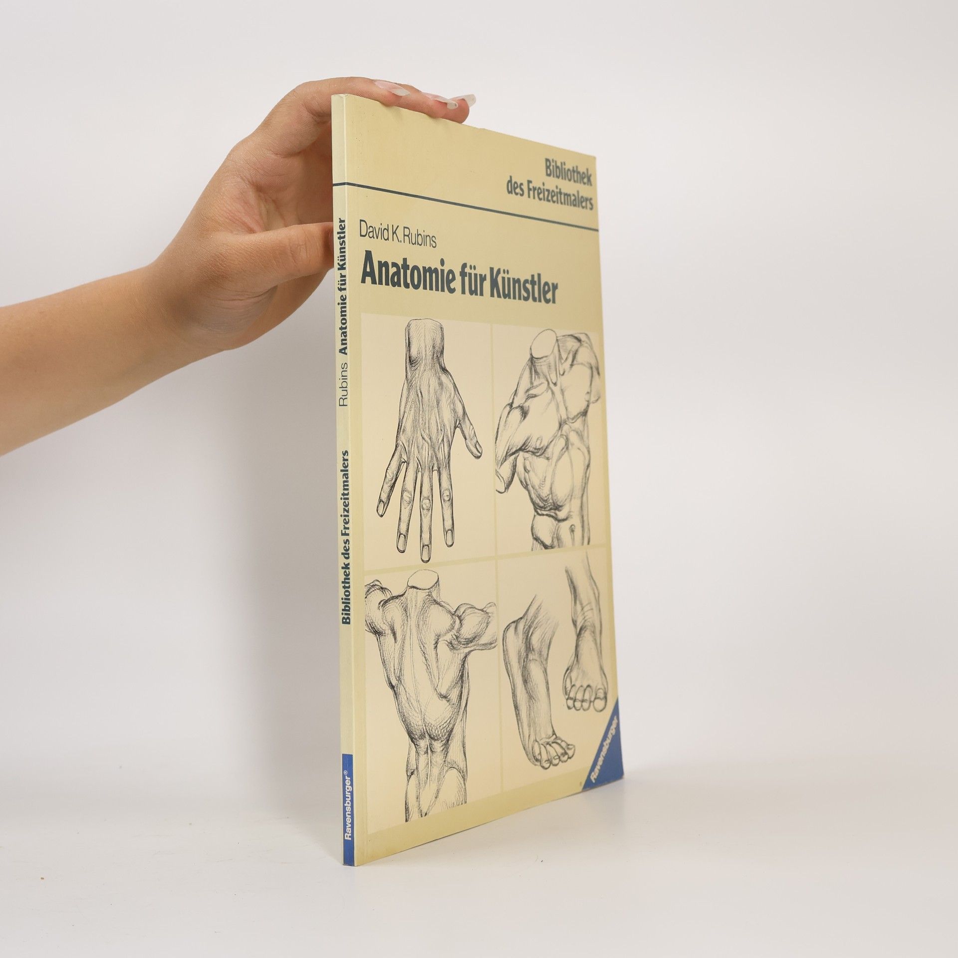 David K. Rubins Anatomie für Künstler