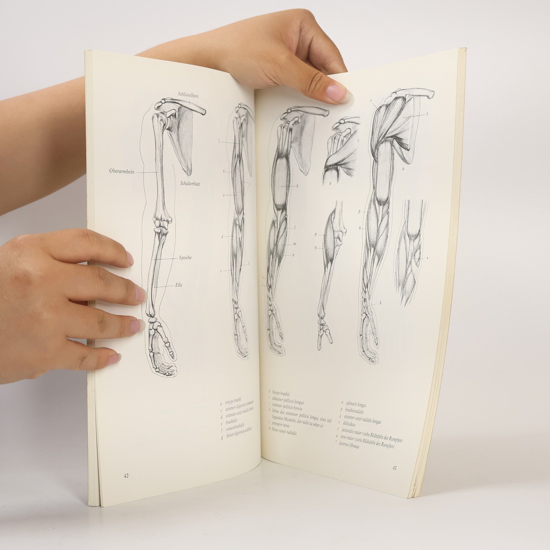 David K. Rubins Anatomie für Künstler