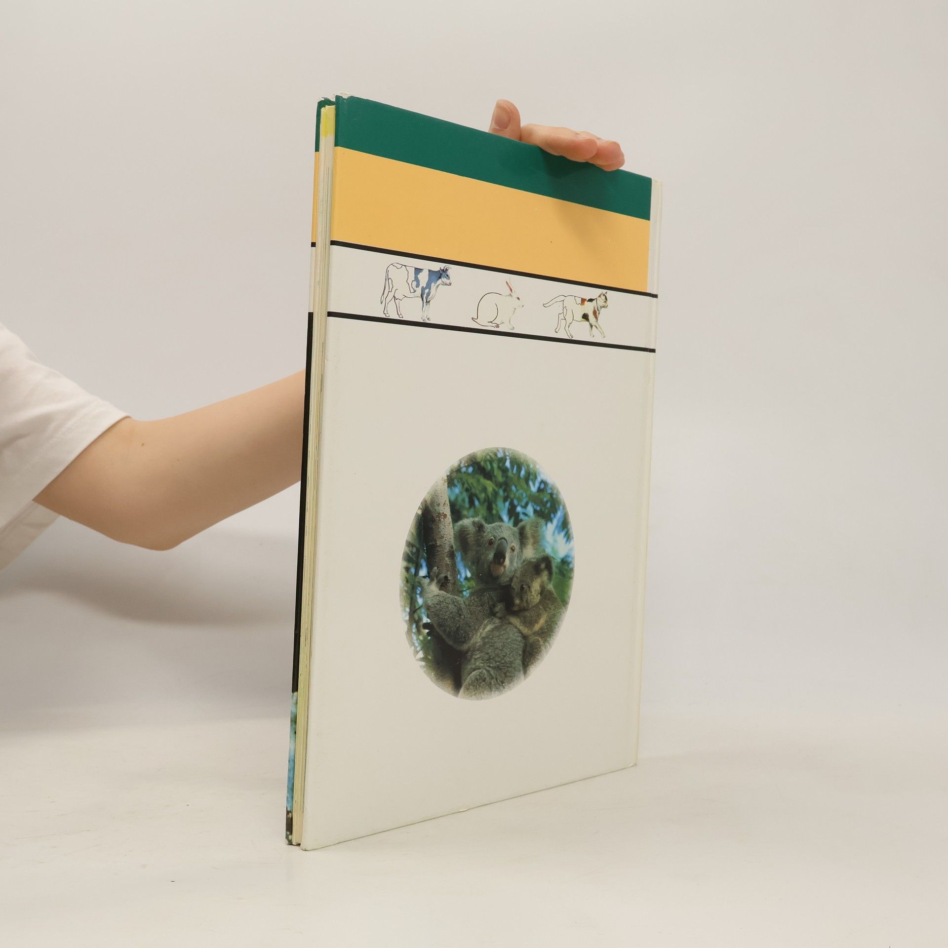 Kolektiv autorů Die Welt der Tiere