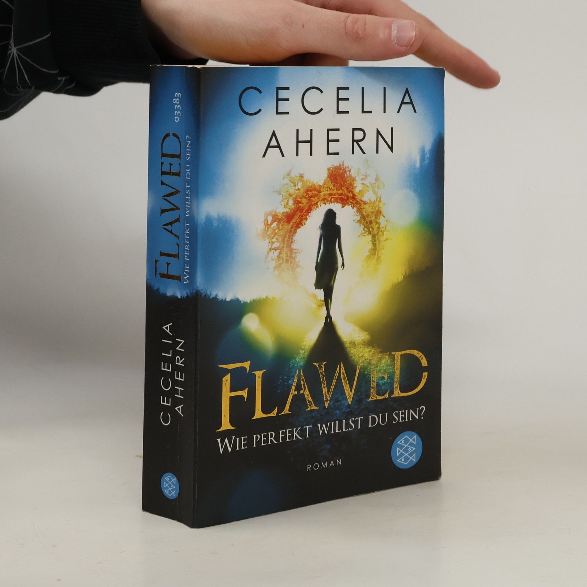 Cecelia Ahern Flawed - wie perfekt willst du sein?